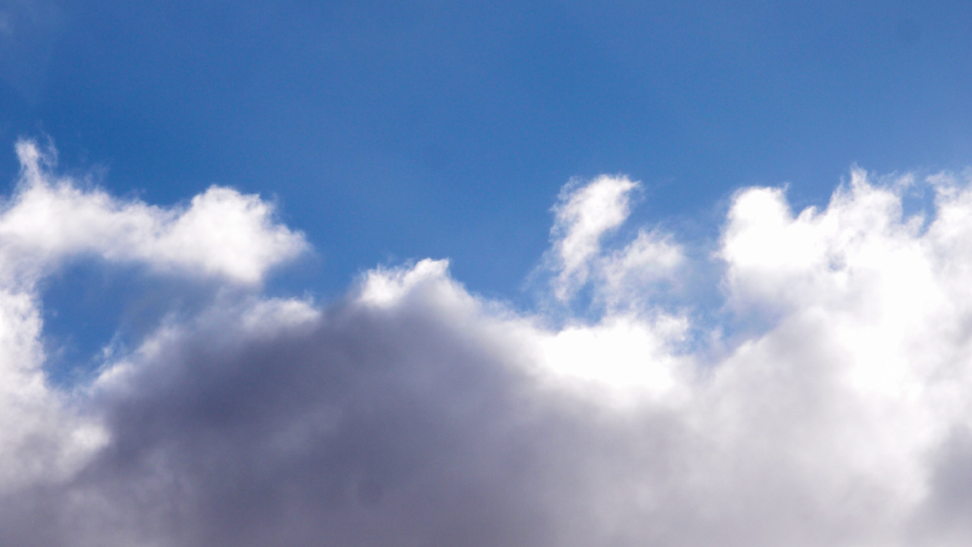 2022-01-28 Das Kleine Regen Rhythmus Orchester (Special Guest: Woodwinds III) (aufm Dach) (Audio, Video)