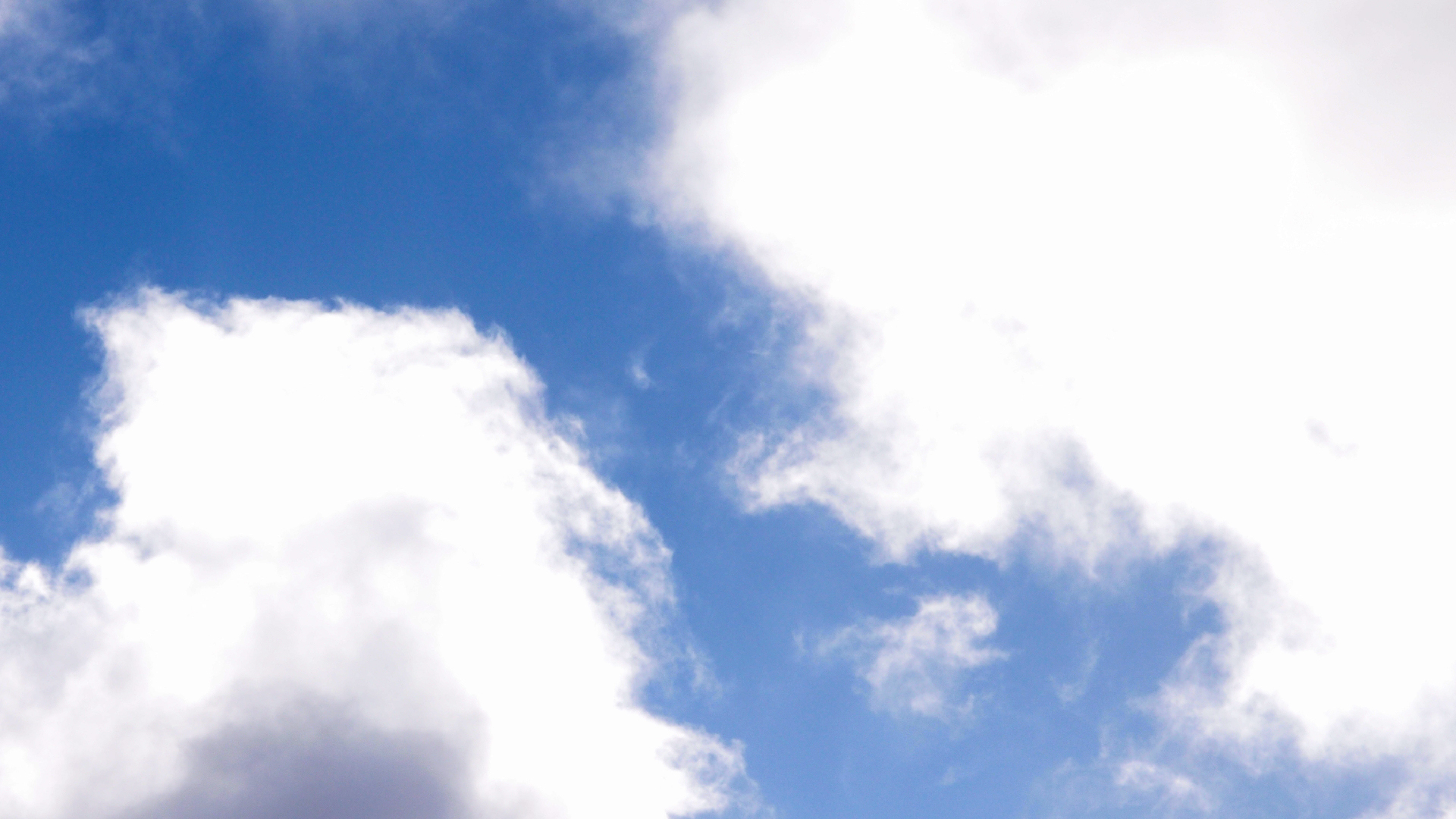 2022-01-28 Das Kleine Regen Rhythmus Orchester (Special Guest: Woodwinds III) (aufm Dach) (Audio, Video)