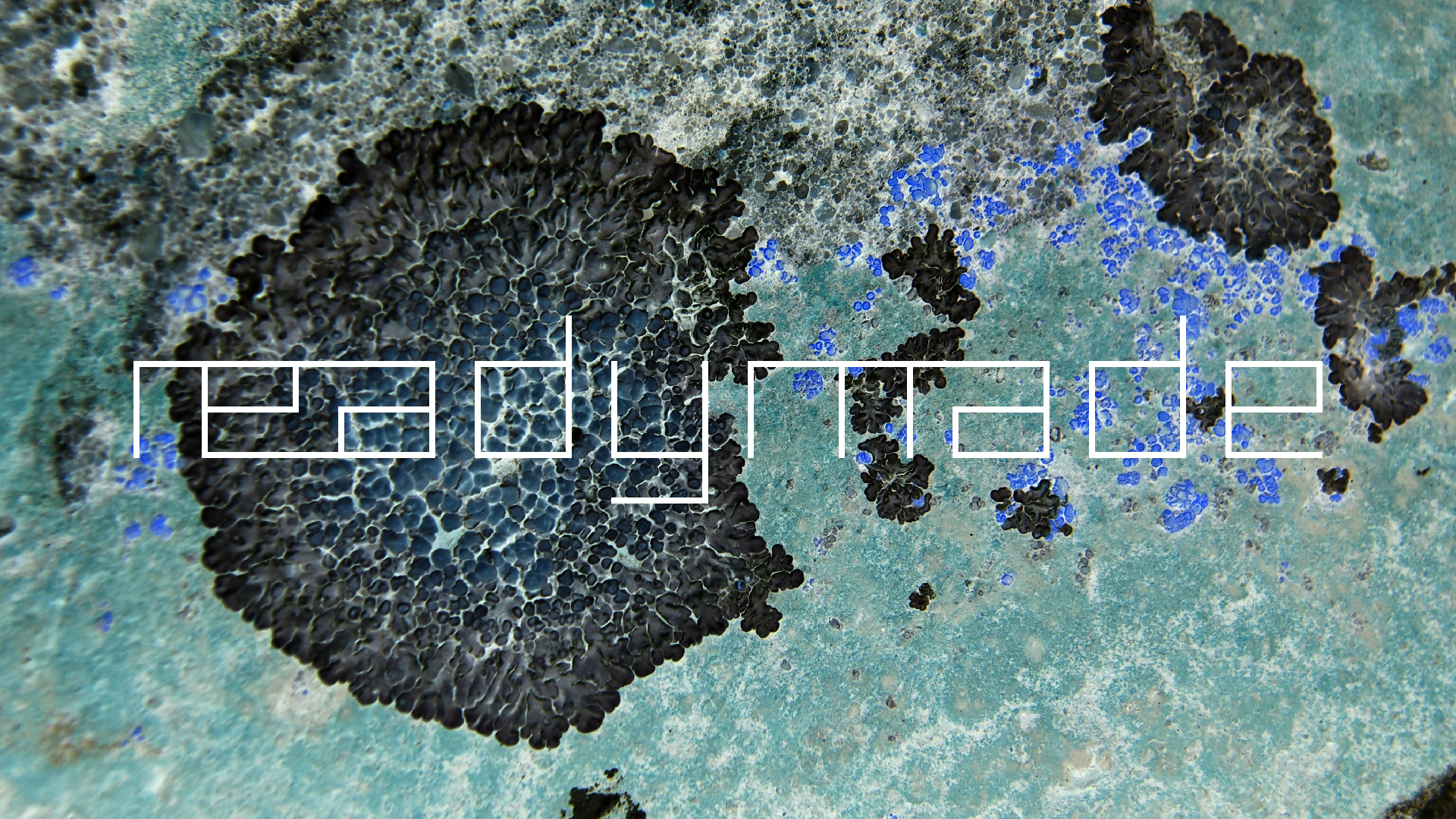 2022-01-28 Das Kleine Regen Rhythmus Orchester (Special Guest: Woodwinds III) (aufm Dach) (Audio, Video)