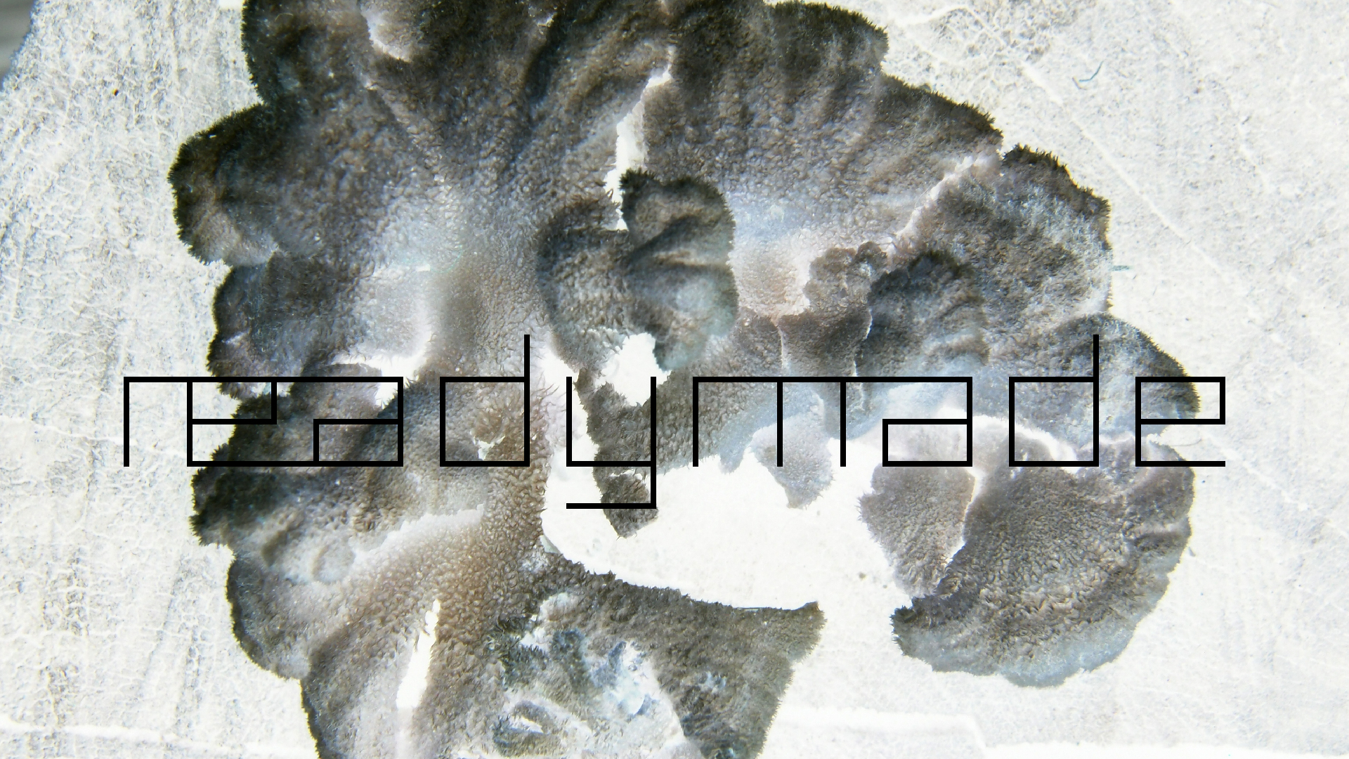 2022-01-28 Das Kleine Regen Rhythmus Orchester (Special Guest: Woodwinds III) (aufm Dach) (Audio, Video)