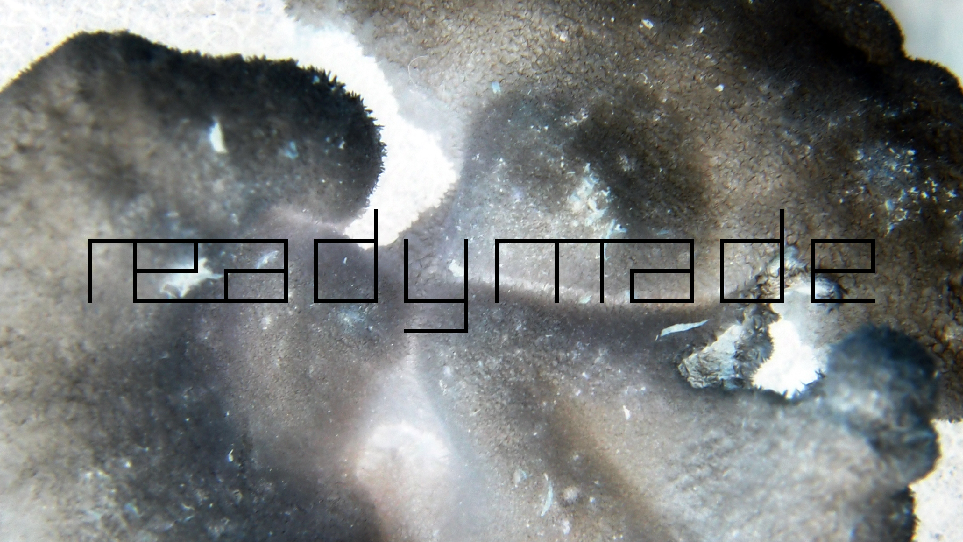 2022-01-28 Das Kleine Regen Rhythmus Orchester (Special Guest: Woodwinds III) (aufm Dach) (Audio, Video)