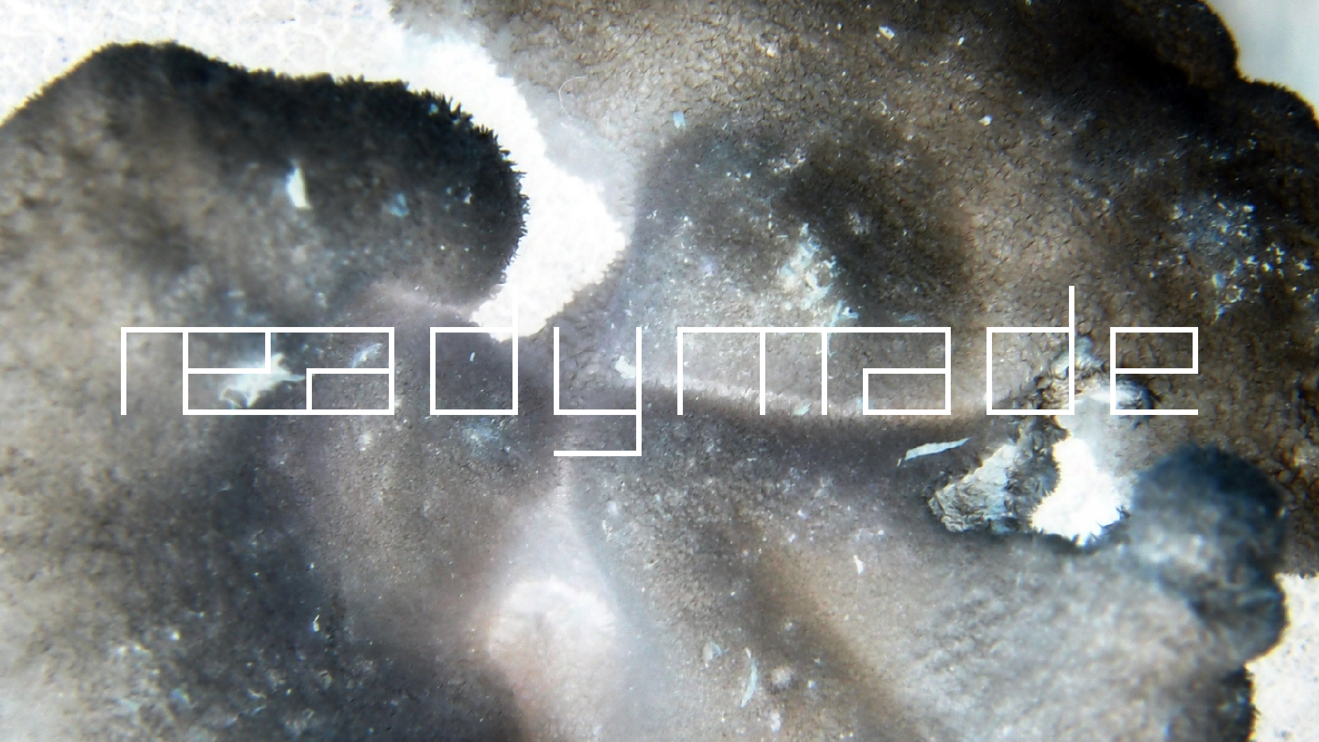 2022-01-28 Das Kleine Regen Rhythmus Orchester (Special Guest: Woodwinds III) (aufm Dach) (Audio, Video)