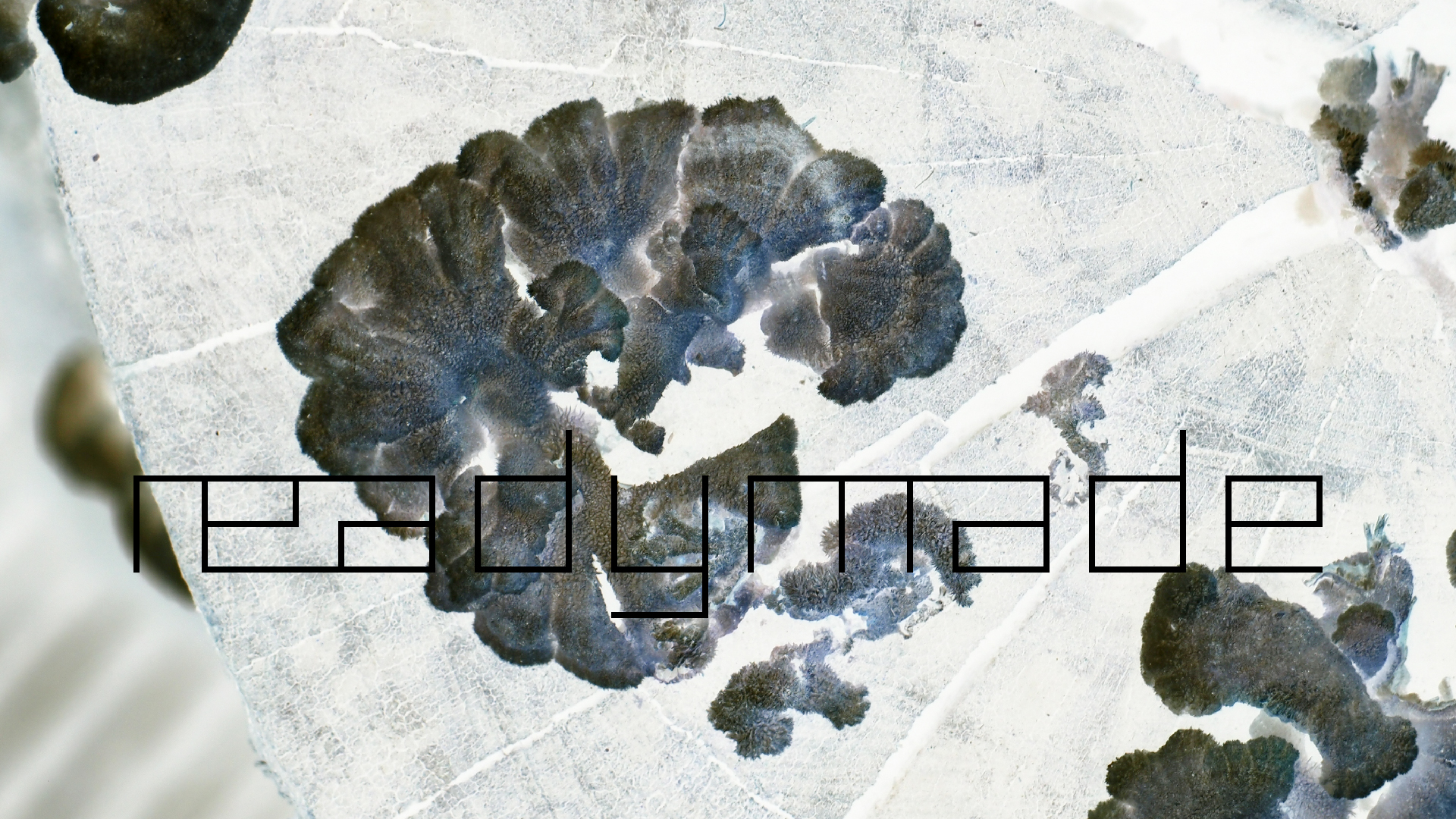 2022-01-28 Das Kleine Regen Rhythmus Orchester (Special Guest: Woodwinds III) (aufm Dach) (Audio, Video)