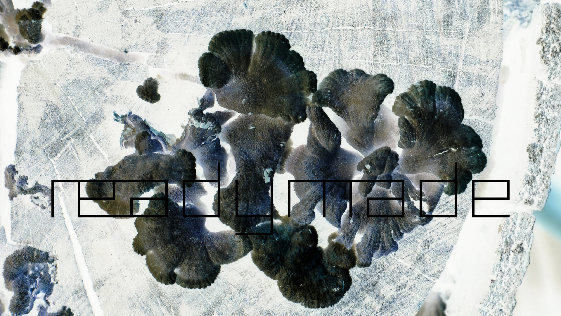 2022-01-28 Das Kleine Regen Rhythmus Orchester (Special Guest: Woodwinds III) (aufm Dach) (Audio, Video)