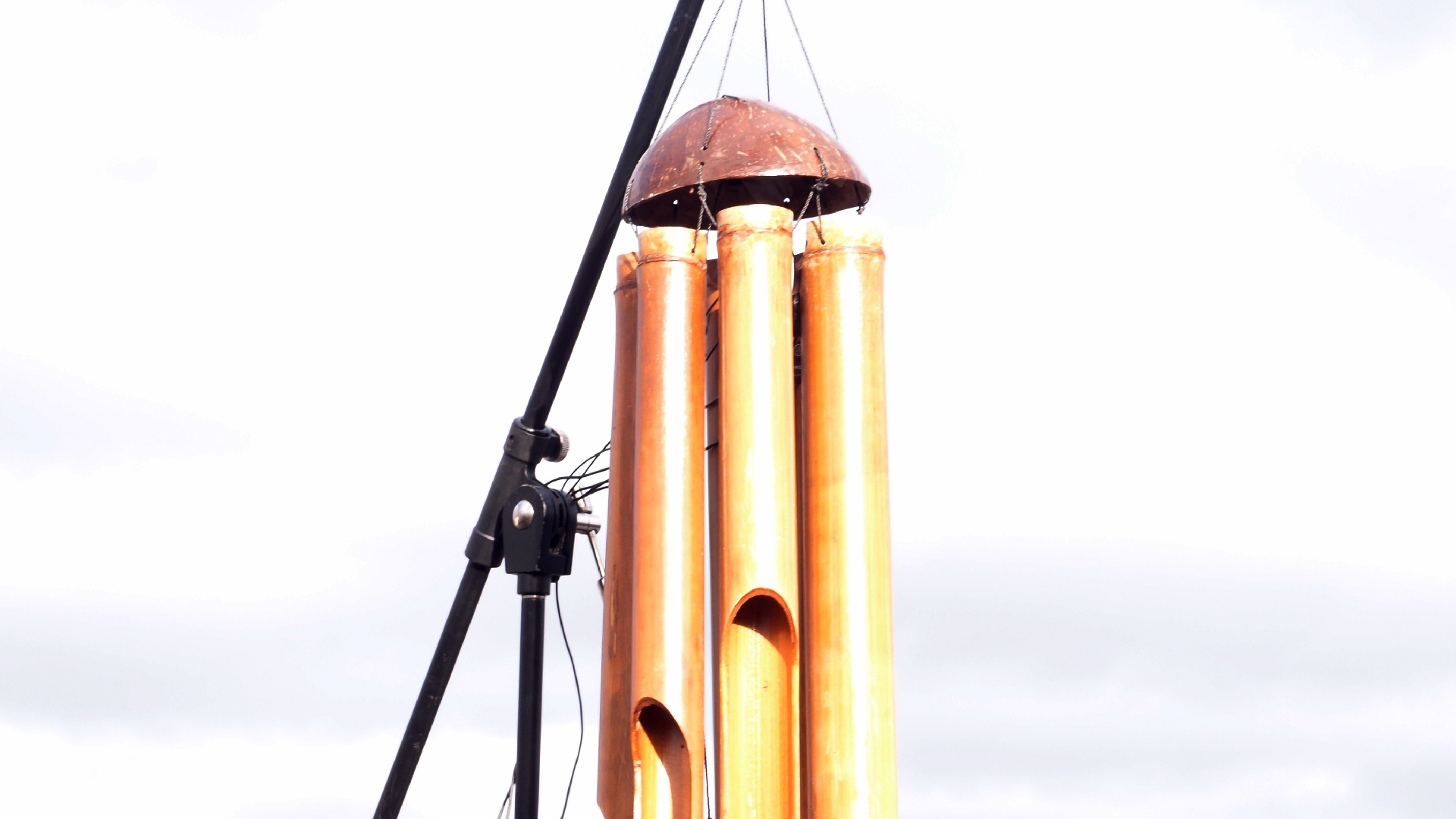 2022-01-28 Das Kleine Regen Rhythmus Orchester (Special Guest: Woodwinds III) (aufm Dach) (Audio, Video)