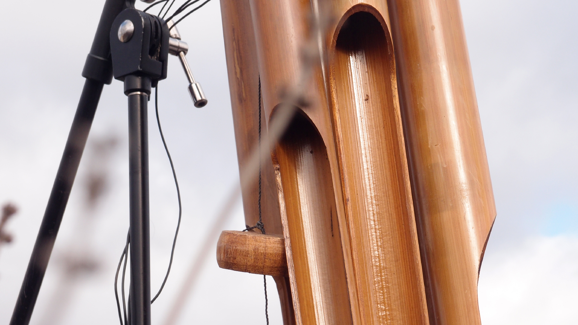 2022-01-28 Das Kleine Regen Rhythmus Orchester (Special Guest: Woodwinds III) (aufm Dach) (Audio, Video)