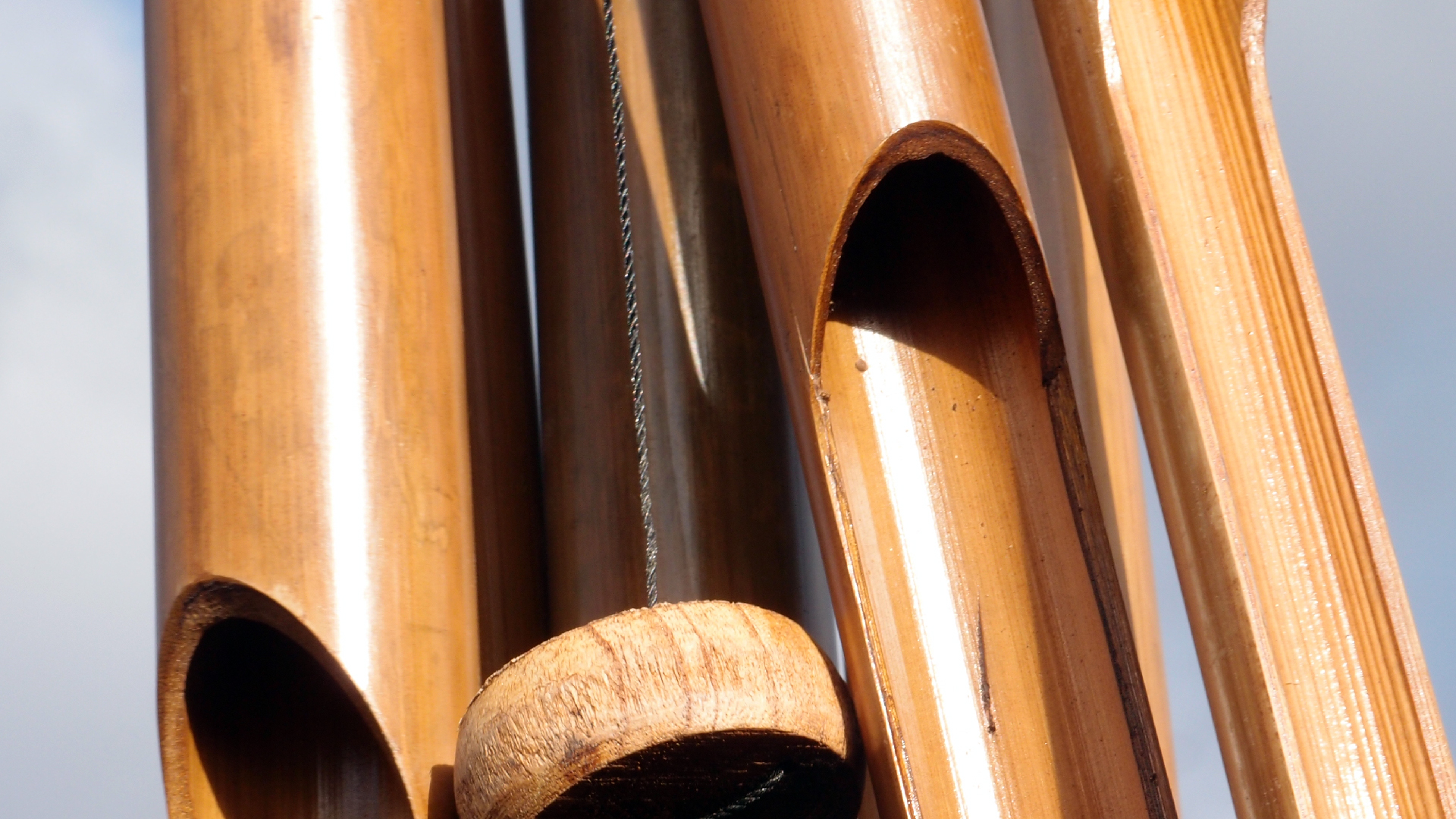 2022-01-28 Das Kleine Regen Rhythmus Orchester (Special Guest: Woodwinds III) (aufm Dach) (Audio, Video)