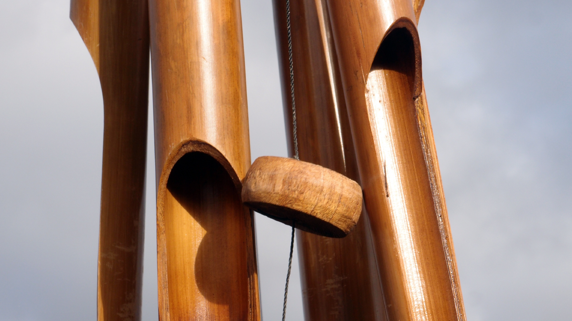 2022-01-28 Das Kleine Regen Rhythmus Orchester (Special Guest: Woodwinds III) (aufm Dach) (Audio, Video)