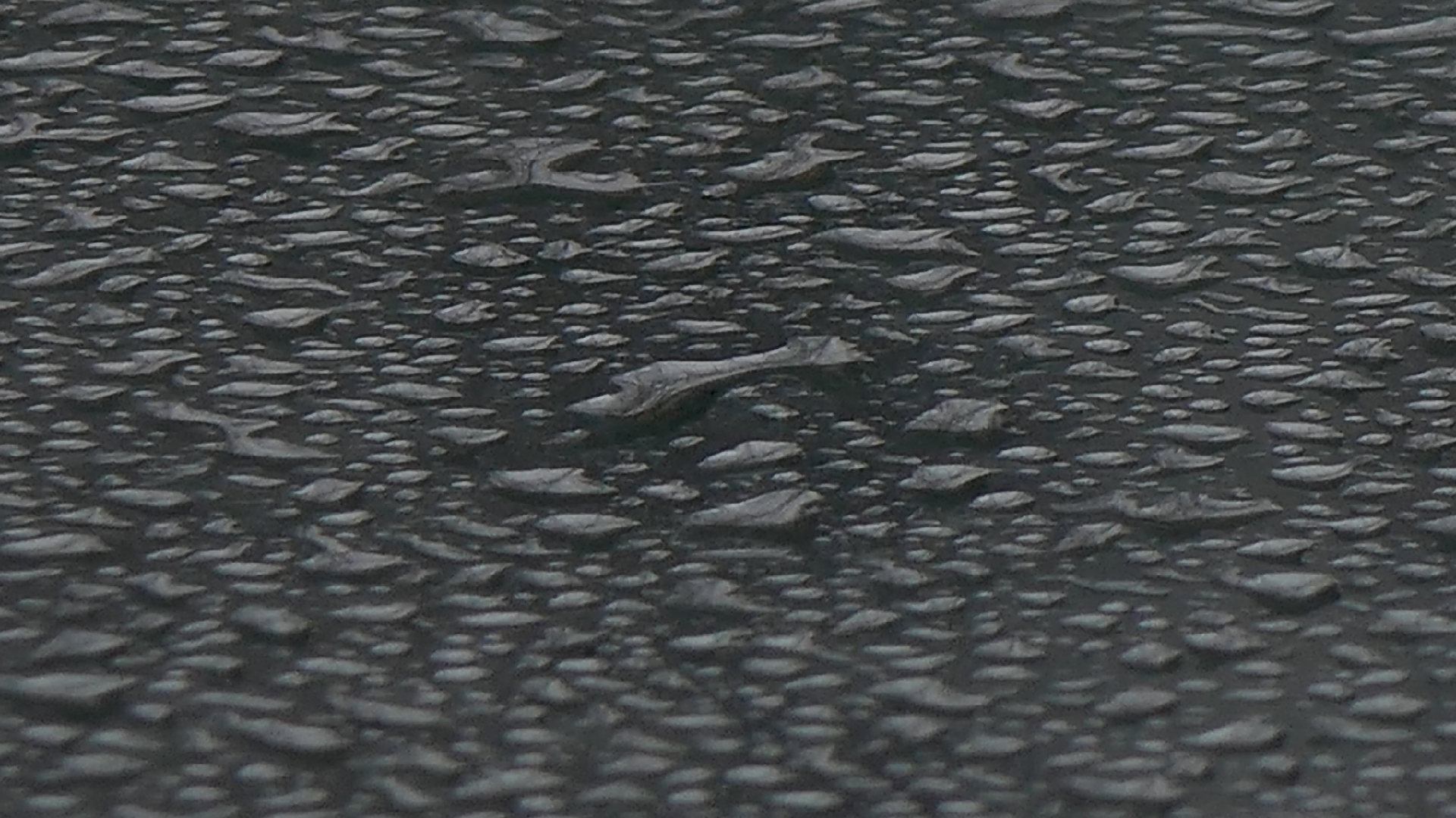 2022-02-08 Das Kleine Regen Rhythmus Orchester (Fensterglas einfach, im Bilderrahmen, II) (Audio, Video)