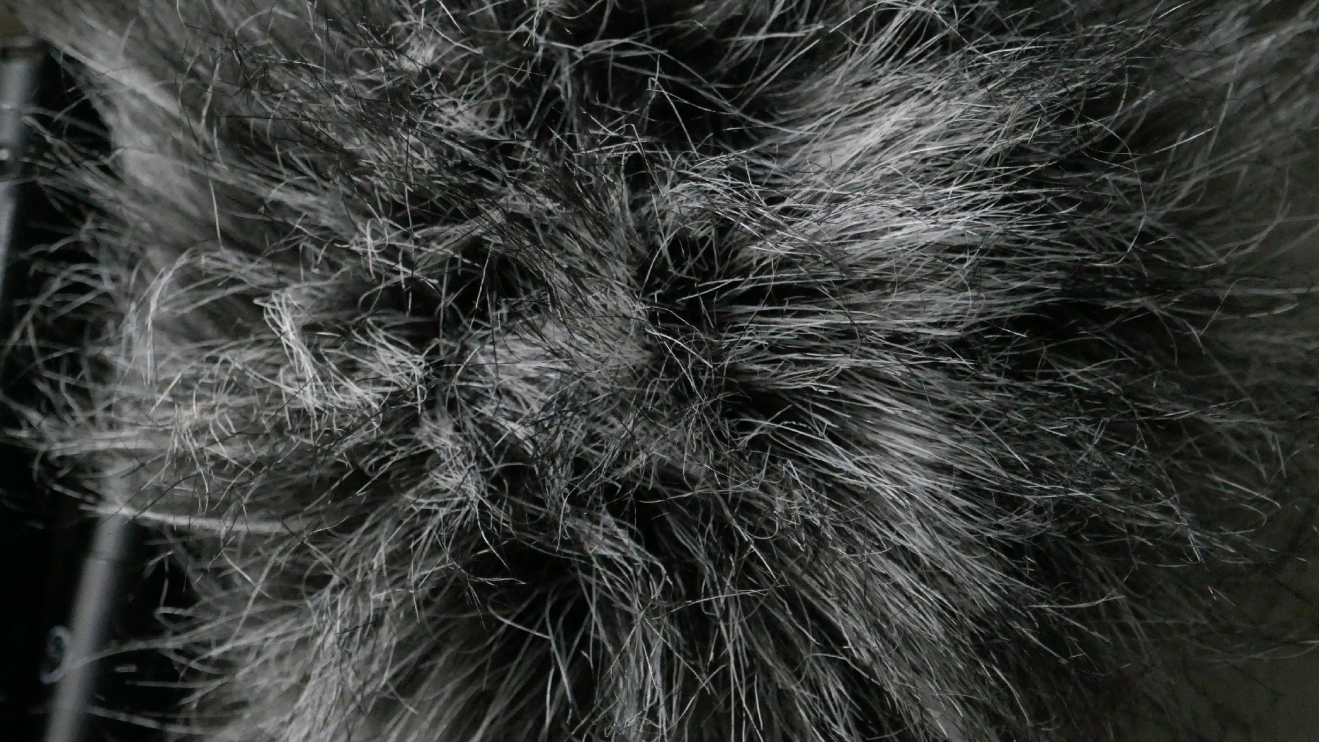 2022-02-08 Das Kleine Regen Rhythmus Orchester (Fensterglas einfach, im Bilderrahmen, II) (Audio, Video)