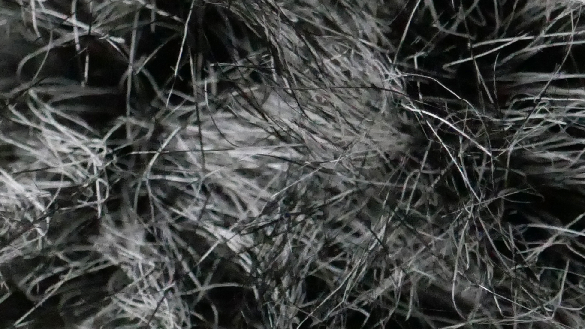 2022-02-08 Das Kleine Regen Rhythmus Orchester (Fensterglas einfach, im Bilderrahmen, II) (Audio, Video)