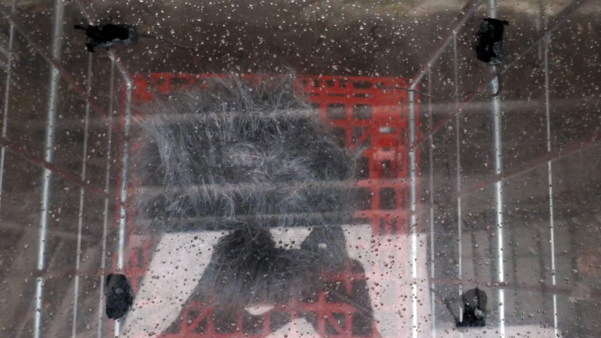 2022-02-16 Das Kleine Regen Rhythmus Orchester (Fensterglas einfach, im Bilderrahmen, III) (Audio, Video)