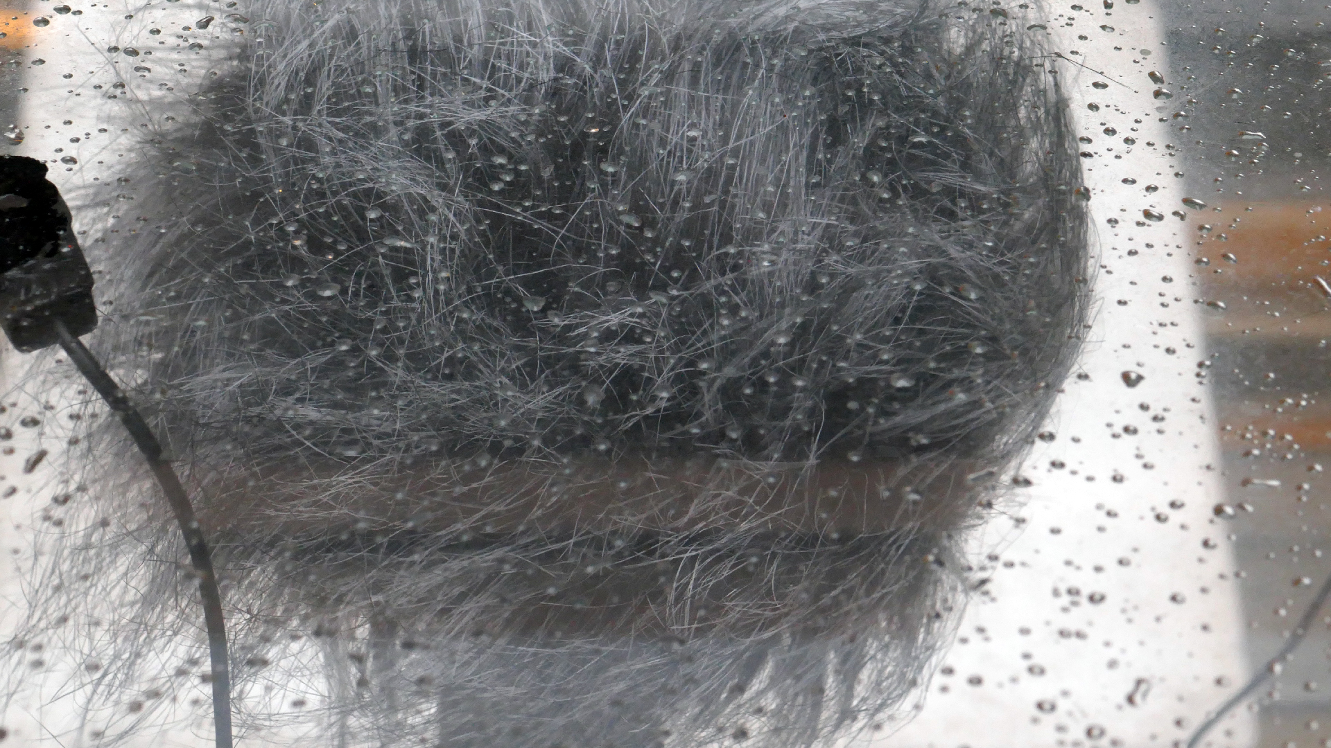 2022-02-16 Das Kleine Regen Rhythmus Orchester (Fensterglas einfach, im Bilderrahmen, III) (Audio, Video)