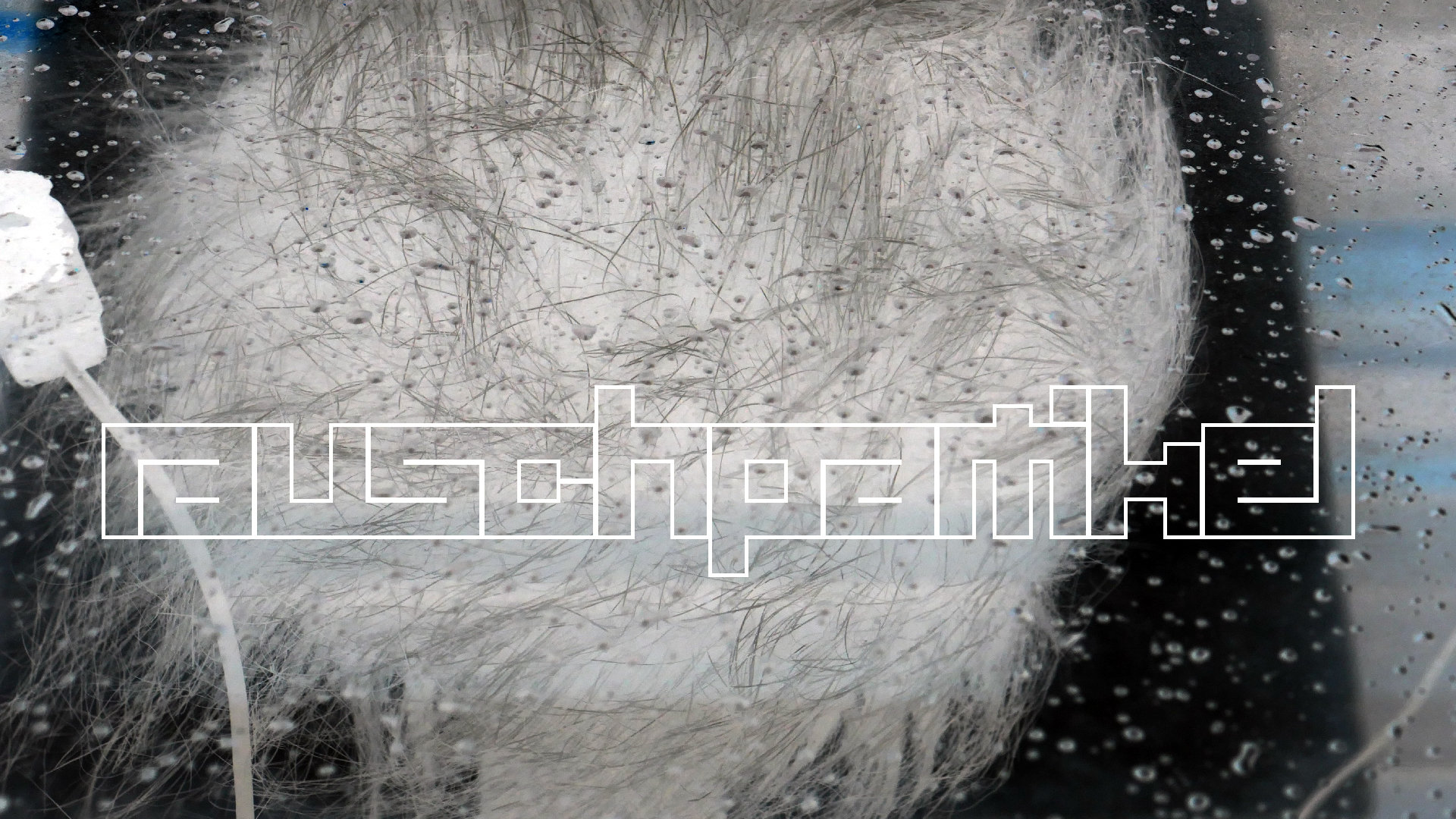 2022-02-16 Das Kleine Regen Rhythmus Orchester (Fensterglas einfach, im Bilderrahmen, III) (Audio, Video)