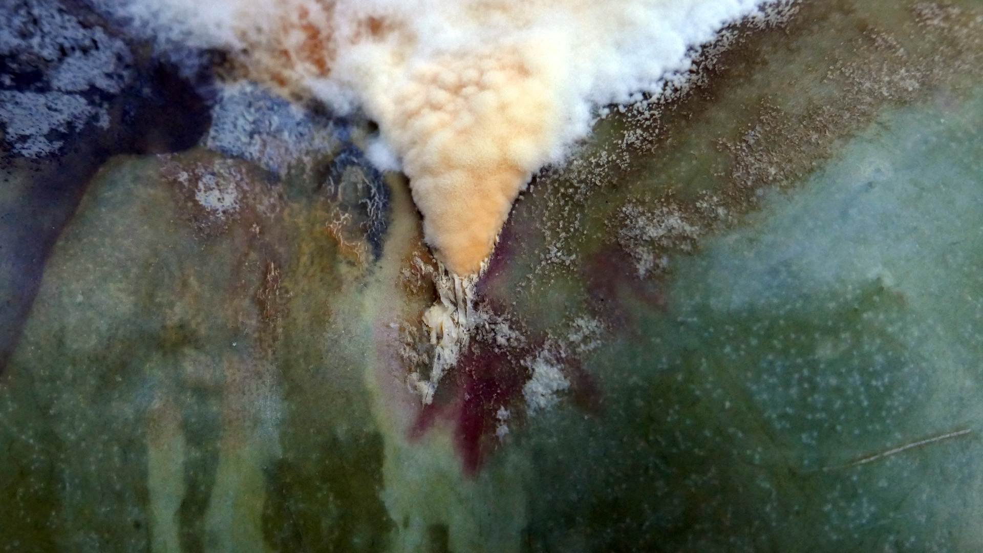 2022-02-16 Das Kleine Regen Rhythmus Orchester (Fensterglas einfach, im Bilderrahmen, III) (Audio, Video)