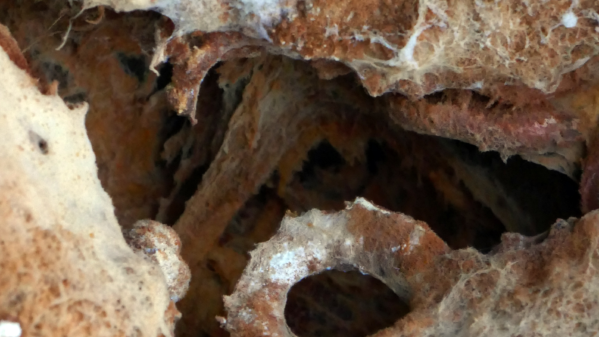 2022-02-16 Das Kleine Regen Rhythmus Orchester (Fensterglas einfach, im Bilderrahmen, III) (Audio, Video)