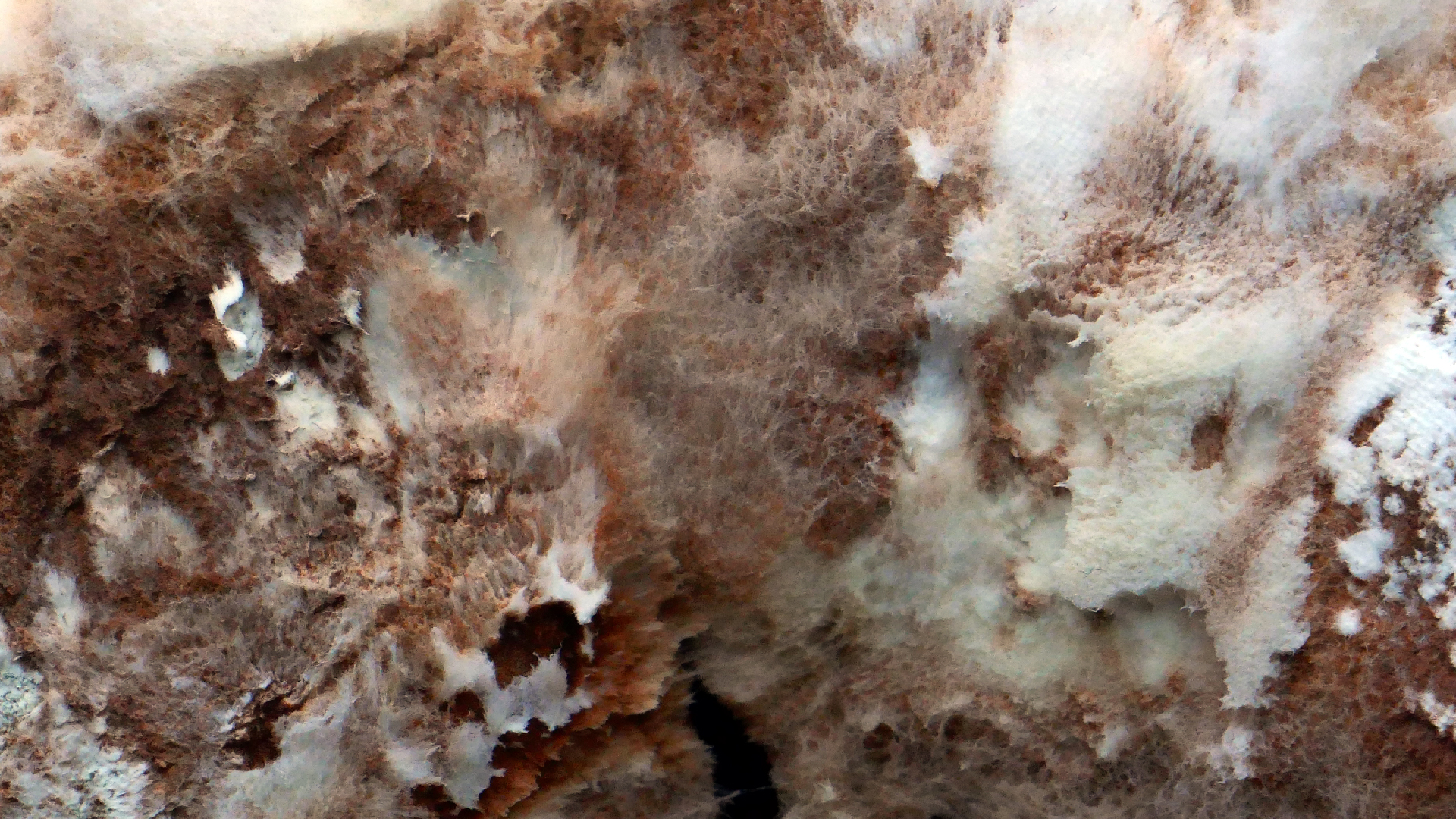 2022-02-16 Das Kleine Regen Rhythmus Orchester (Fensterglas einfach, im Bilderrahmen, III) (Audio, Video)