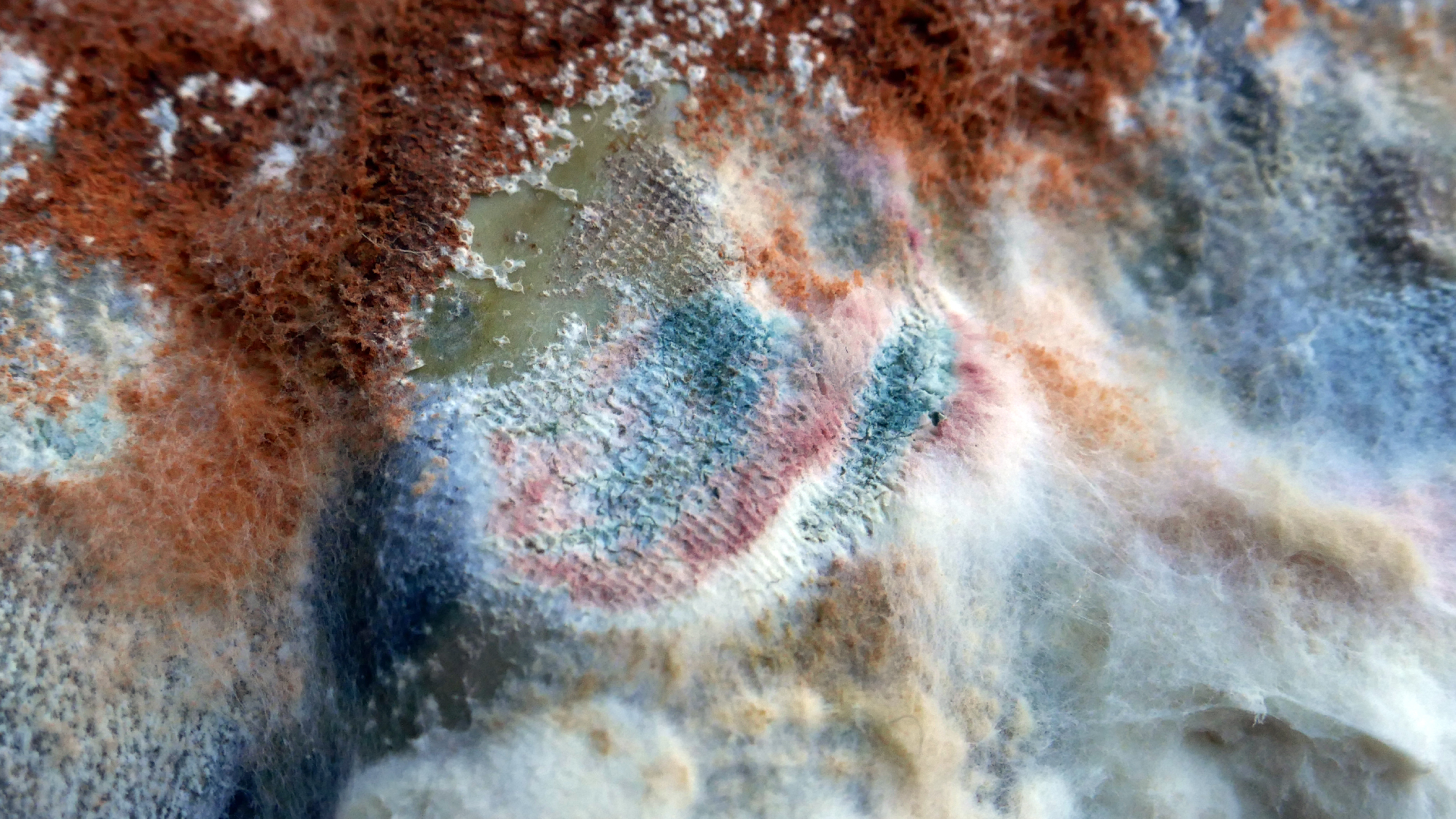 2022-02-16 Das Kleine Regen Rhythmus Orchester (Fensterglas einfach, im Bilderrahmen, III) (Audio, Video)