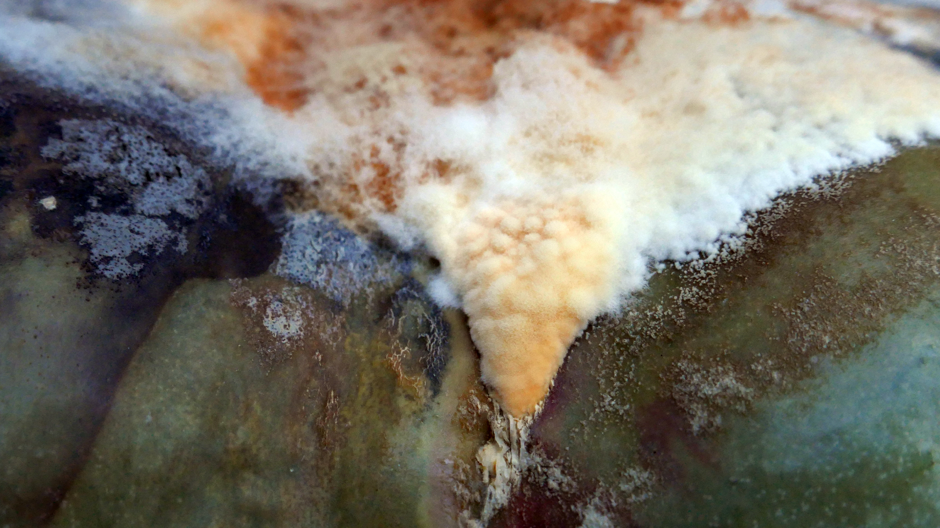 2022-02-16 Das Kleine Regen Rhythmus Orchester (Fensterglas einfach, im Bilderrahmen, III) (Audio, Video)