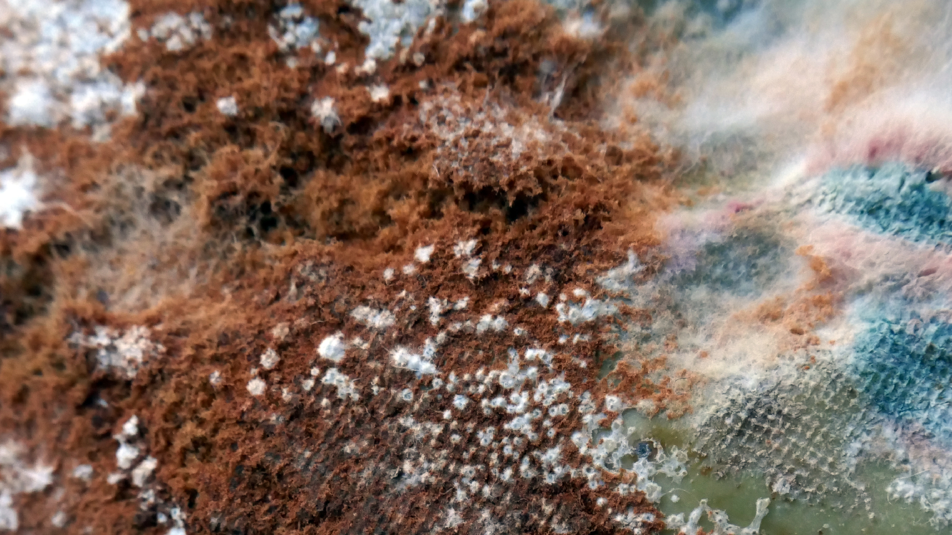 2022-02-16 Das Kleine Regen Rhythmus Orchester (Fensterglas einfach, im Bilderrahmen, III) (Audio, Video)