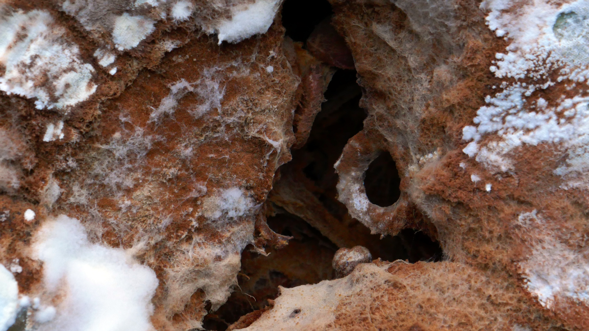 2022-02-16 Das Kleine Regen Rhythmus Orchester (Fensterglas einfach, im Bilderrahmen, III) (Audio, Video)