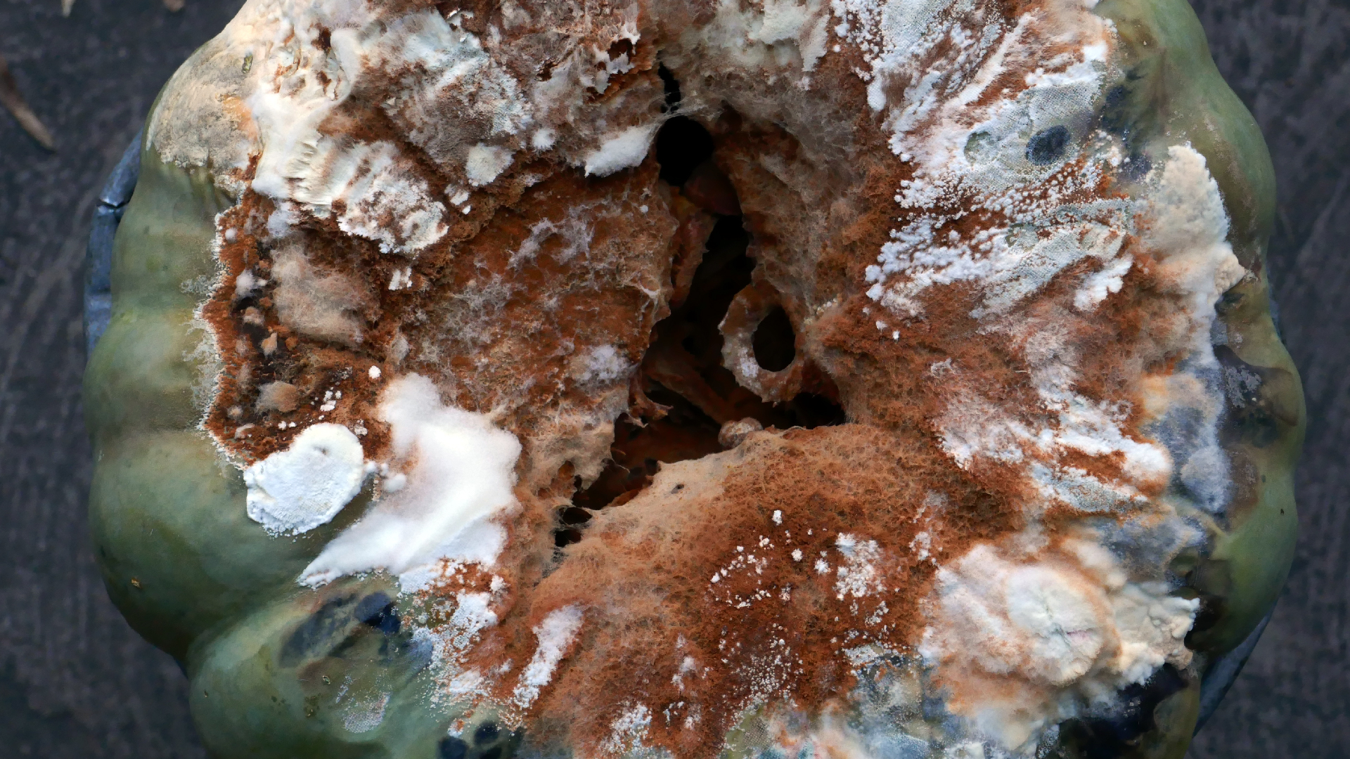 2022-02-16 Das Kleine Regen Rhythmus Orchester (Fensterglas einfach, im Bilderrahmen, III) (Audio, Video)