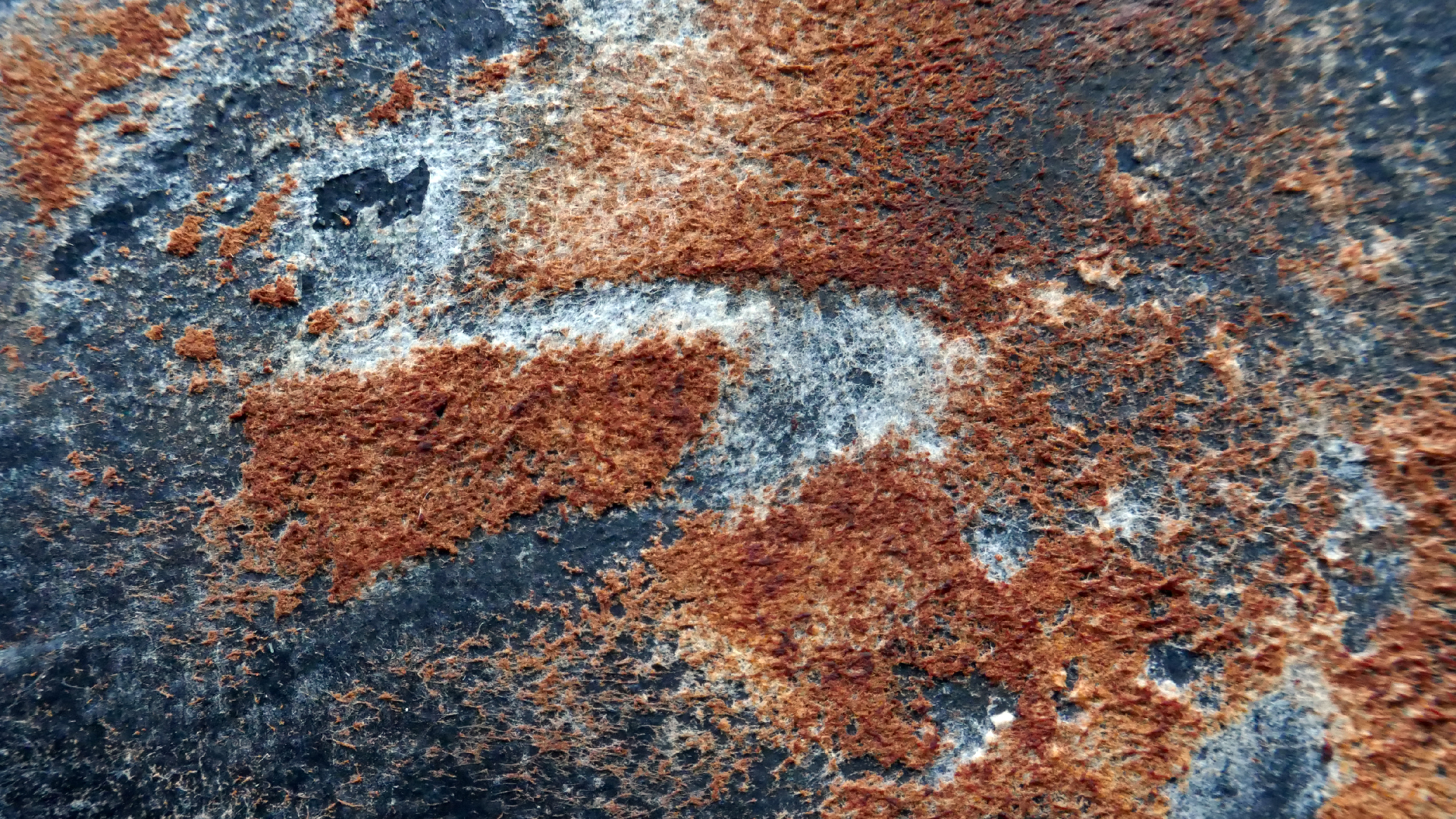 2022-02-16 Das Kleine Regen Rhythmus Orchester (Fensterglas einfach, im Bilderrahmen, III) (Audio, Video)