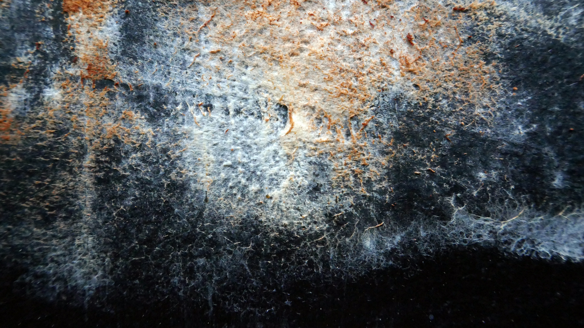 2022-02-16 Das Kleine Regen Rhythmus Orchester (Fensterglas einfach, im Bilderrahmen, III) (Audio, Video)