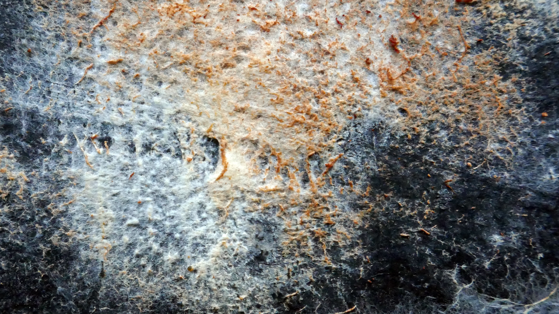 2022-02-16 Das Kleine Regen Rhythmus Orchester (Fensterglas einfach, im Bilderrahmen, III) (Audio, Video)