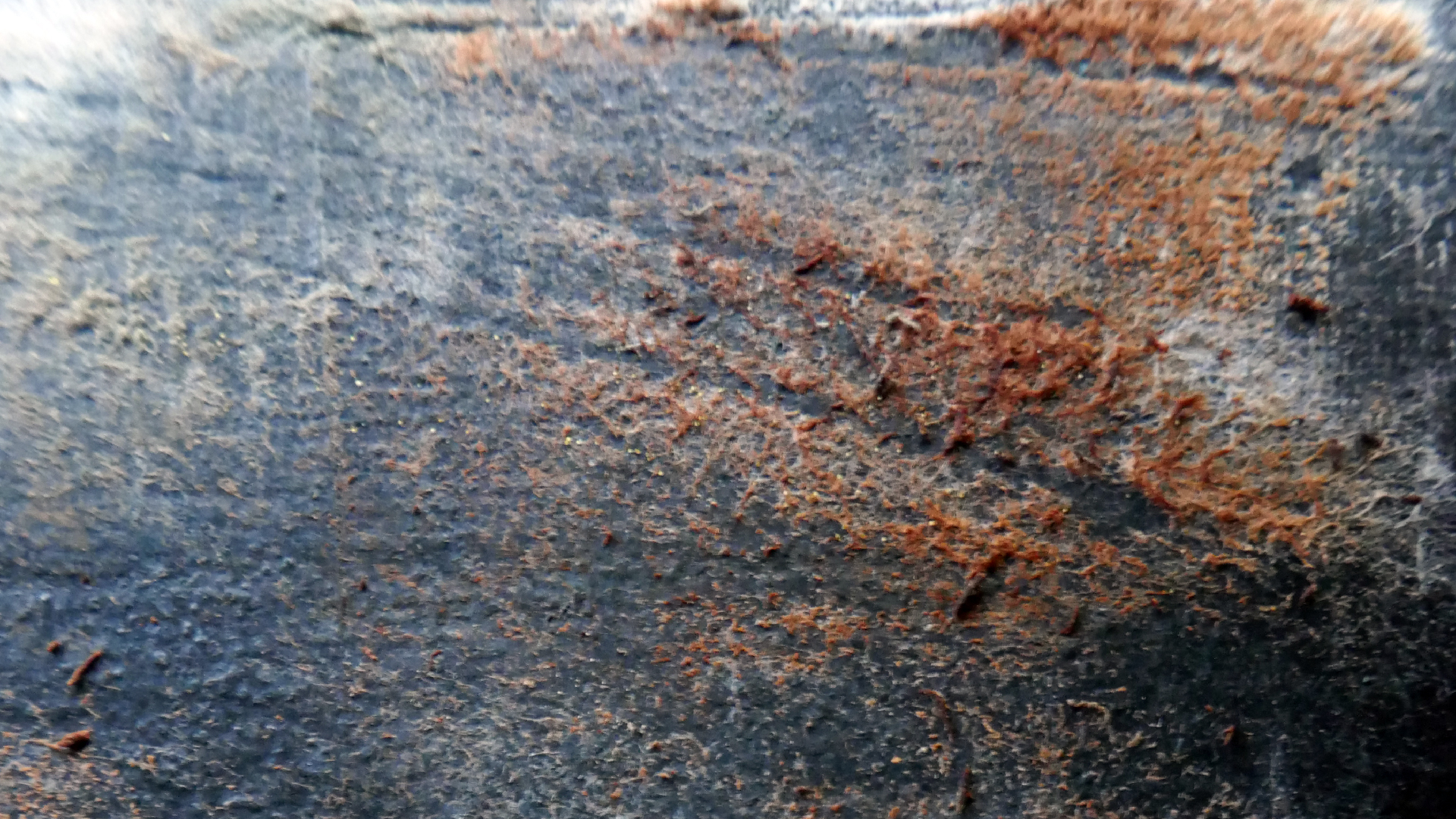 2022-02-16 Das Kleine Regen Rhythmus Orchester (Fensterglas einfach, im Bilderrahmen, III) (Audio, Video)