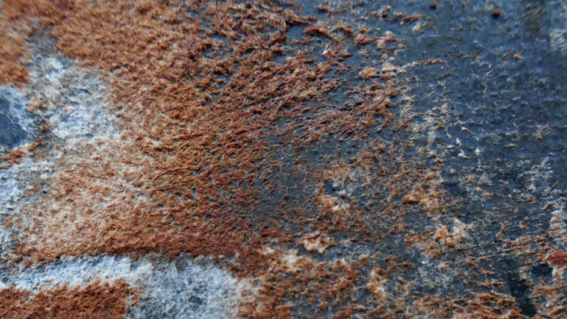 2022-02-16 Das Kleine Regen Rhythmus Orchester (Fensterglas einfach, im Bilderrahmen, III) (Audio, Video)