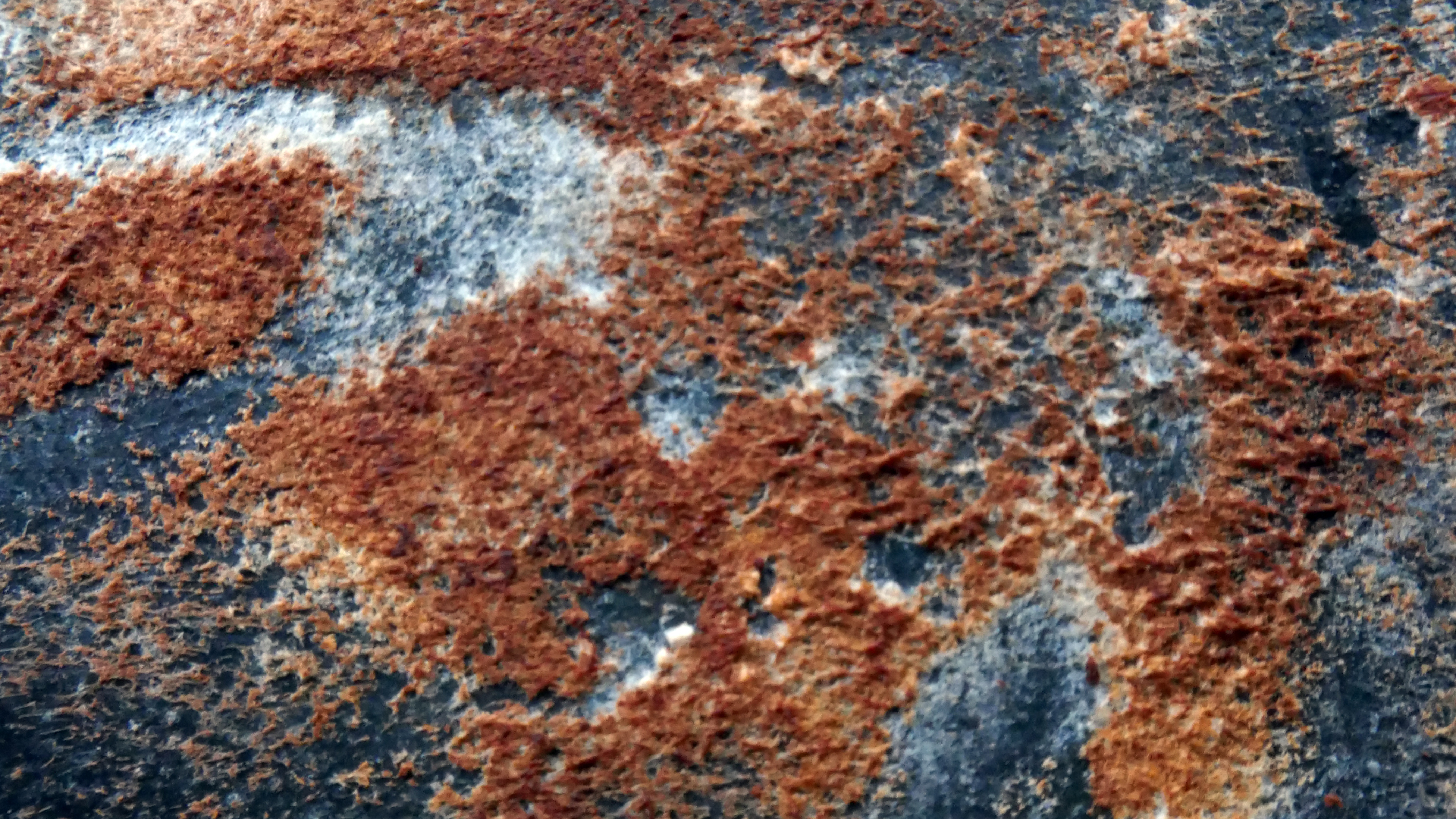 2022-02-16 Das Kleine Regen Rhythmus Orchester (Fensterglas einfach, im Bilderrahmen, III) (Audio, Video)