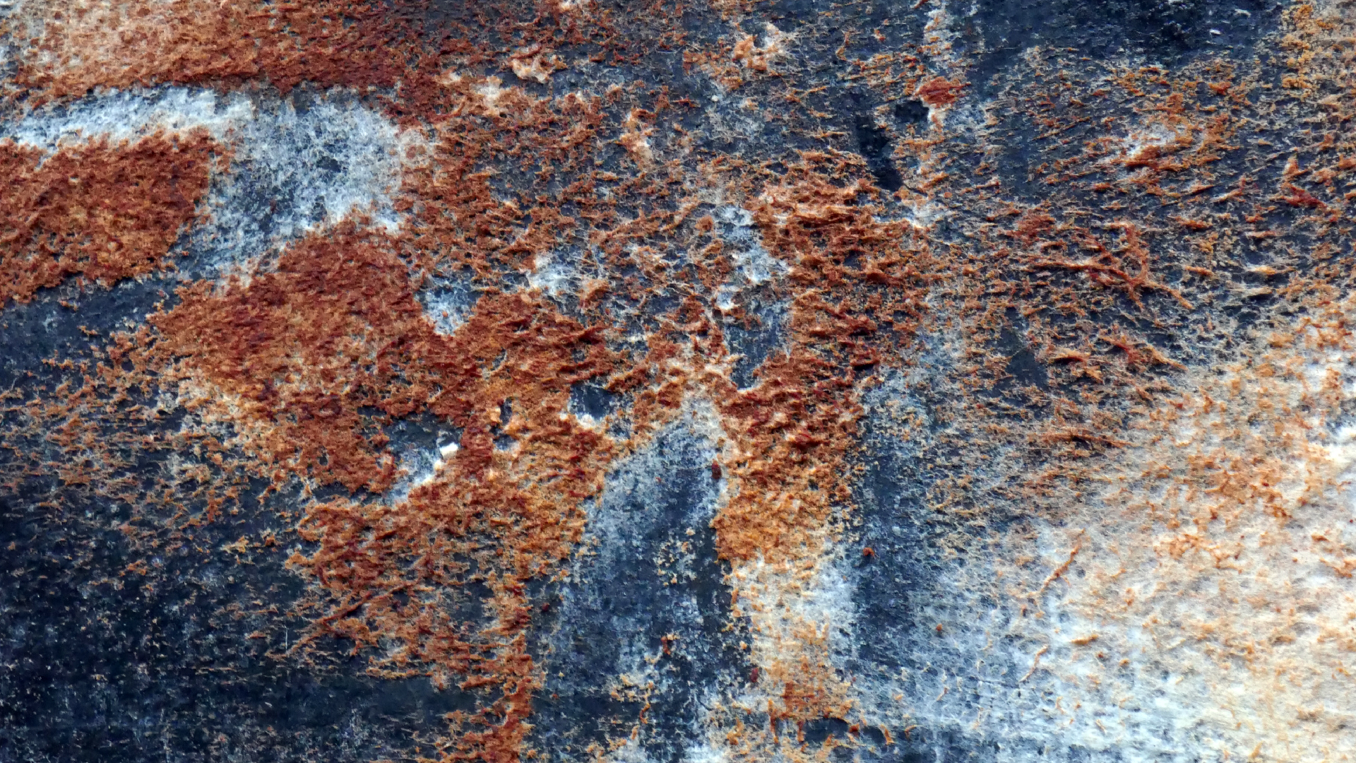 2022-02-16 Das Kleine Regen Rhythmus Orchester (Fensterglas einfach, im Bilderrahmen, III) (Audio, Video)