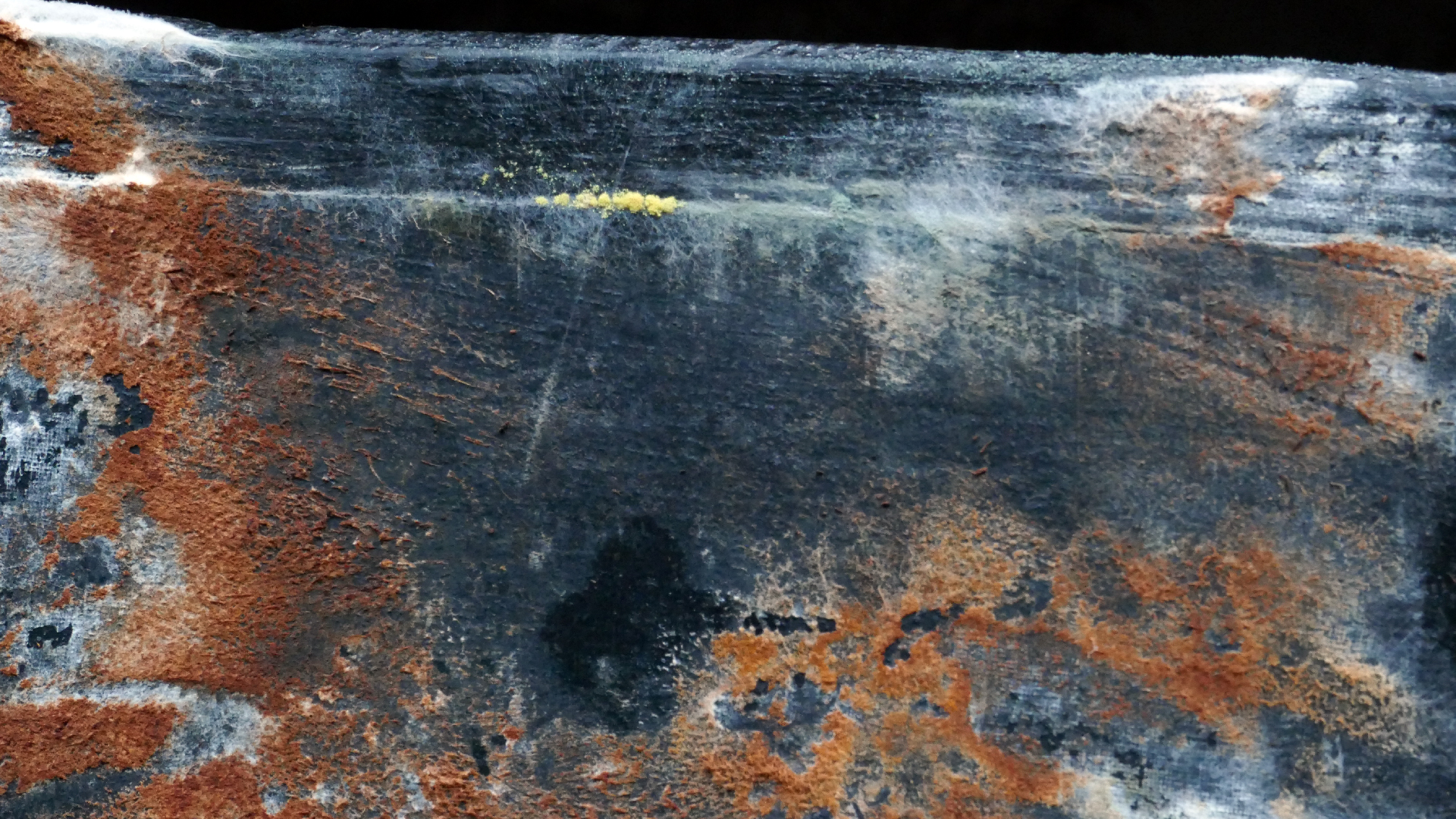 2022-02-16 Das Kleine Regen Rhythmus Orchester (Fensterglas einfach, im Bilderrahmen, III) (Audio, Video)