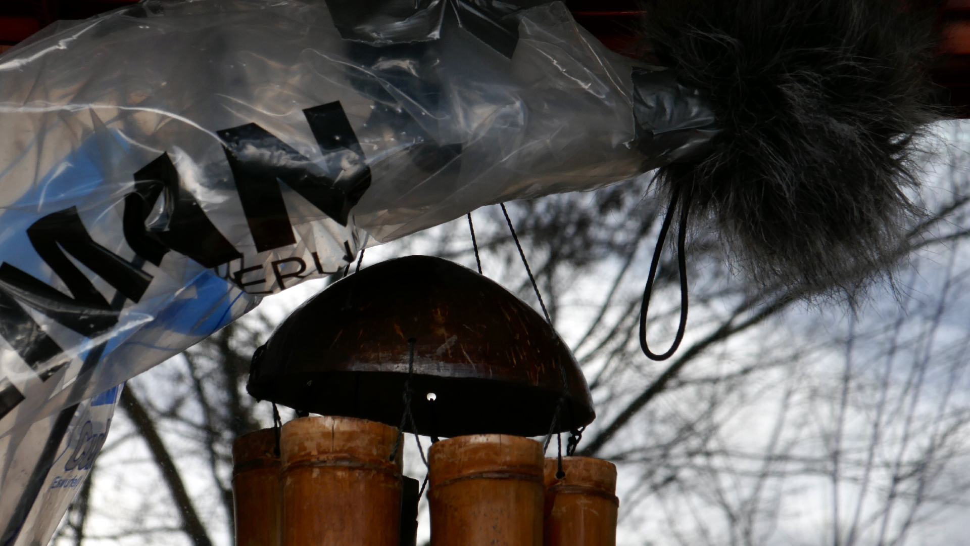 2022-02-17 Das Kleine Regen Rhythmus Orchester - Regen und Wind (Audio, Video)