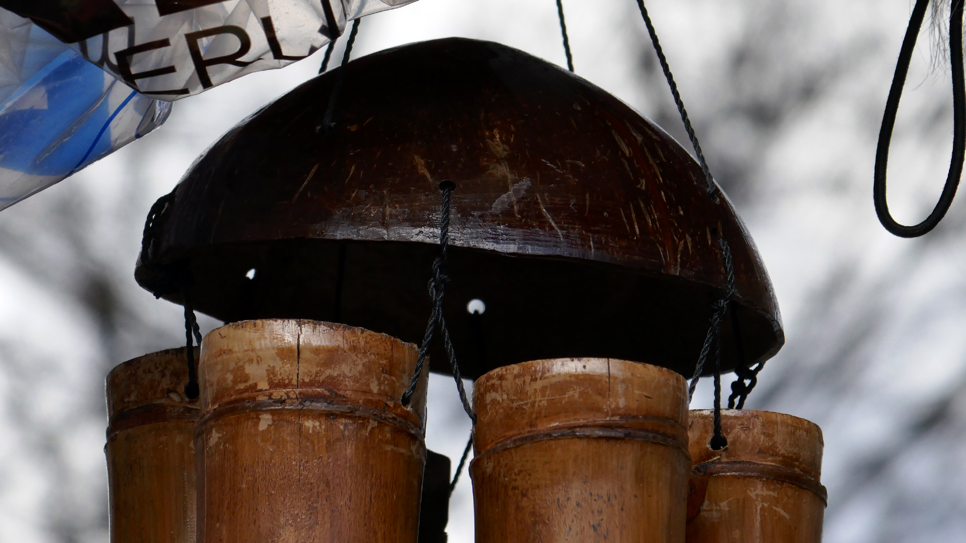 2022-02-17 Das Kleine Regen Rhythmus Orchester - Regen und Wind (Audio, Video)