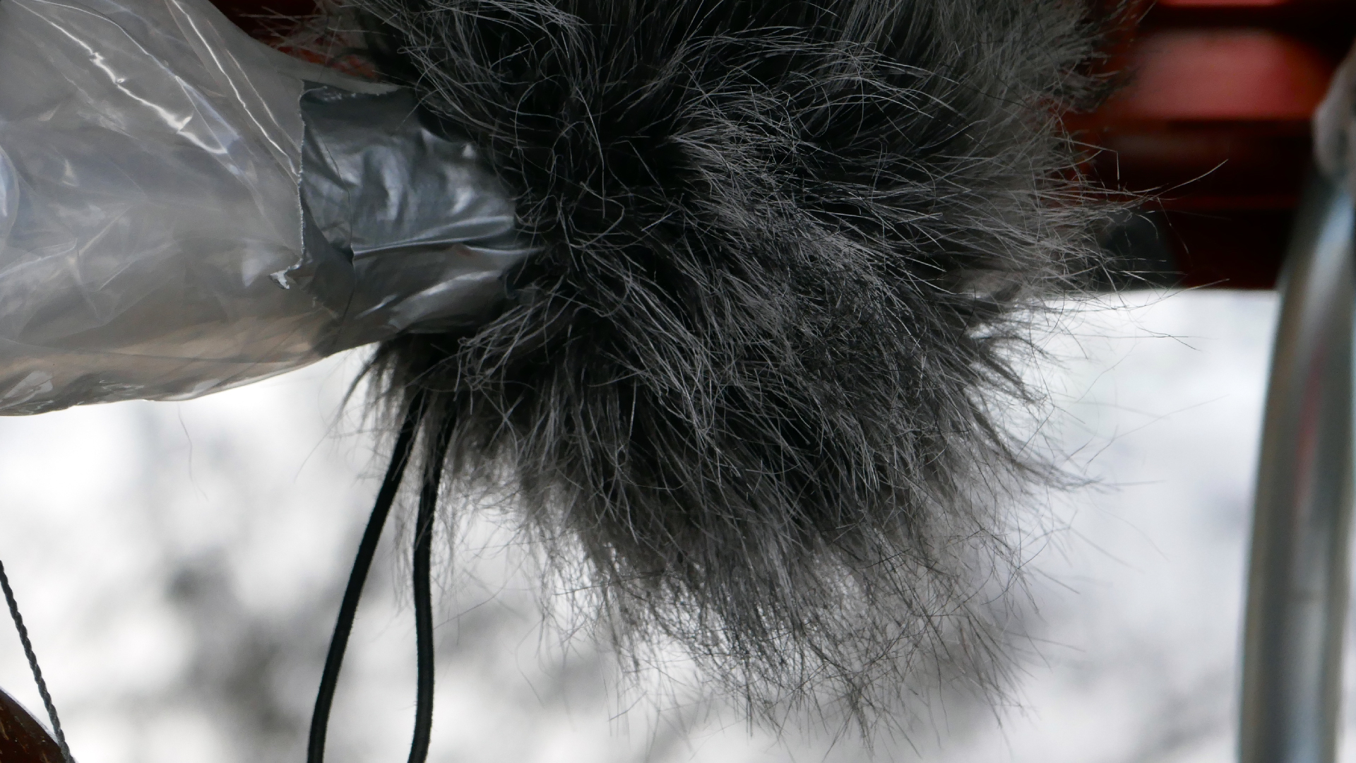 2022-02-17 Das Kleine Regen Rhythmus Orchester - Regen und Wind (Audio, Video)