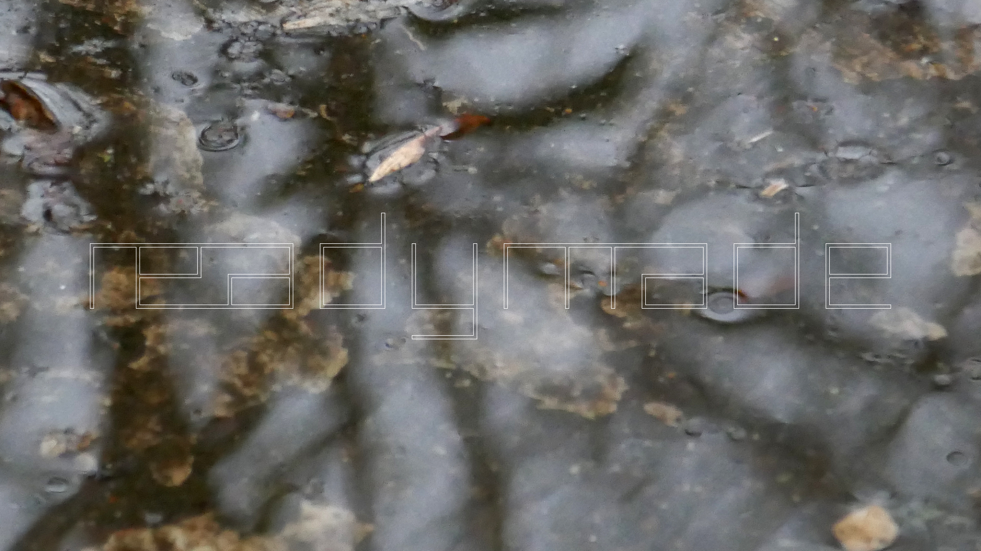 2022-02-17 Das Kleine Regen Rhythmus Orchester - Regen und Wind (Audio, Video)