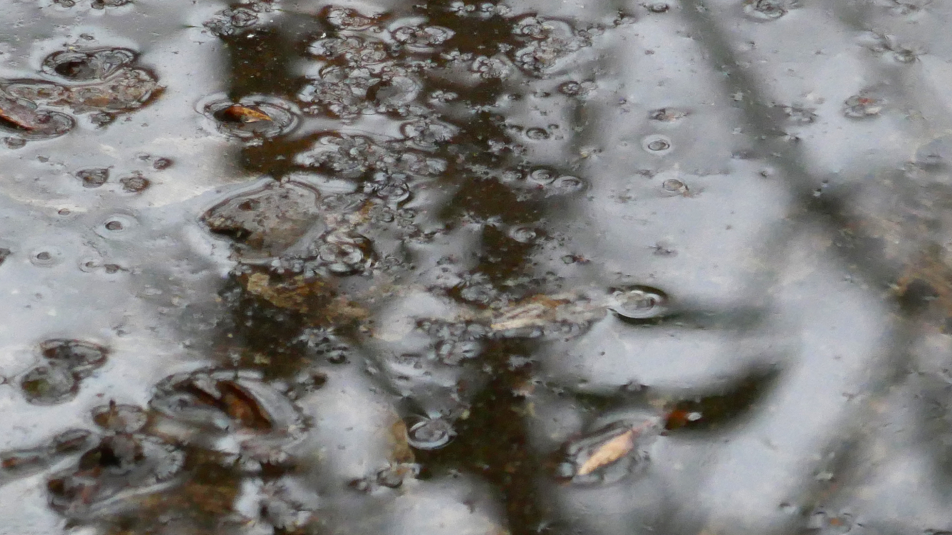 2022-02-17 Das Kleine Regen Rhythmus Orchester - Regen und Wind (Audio, Video)