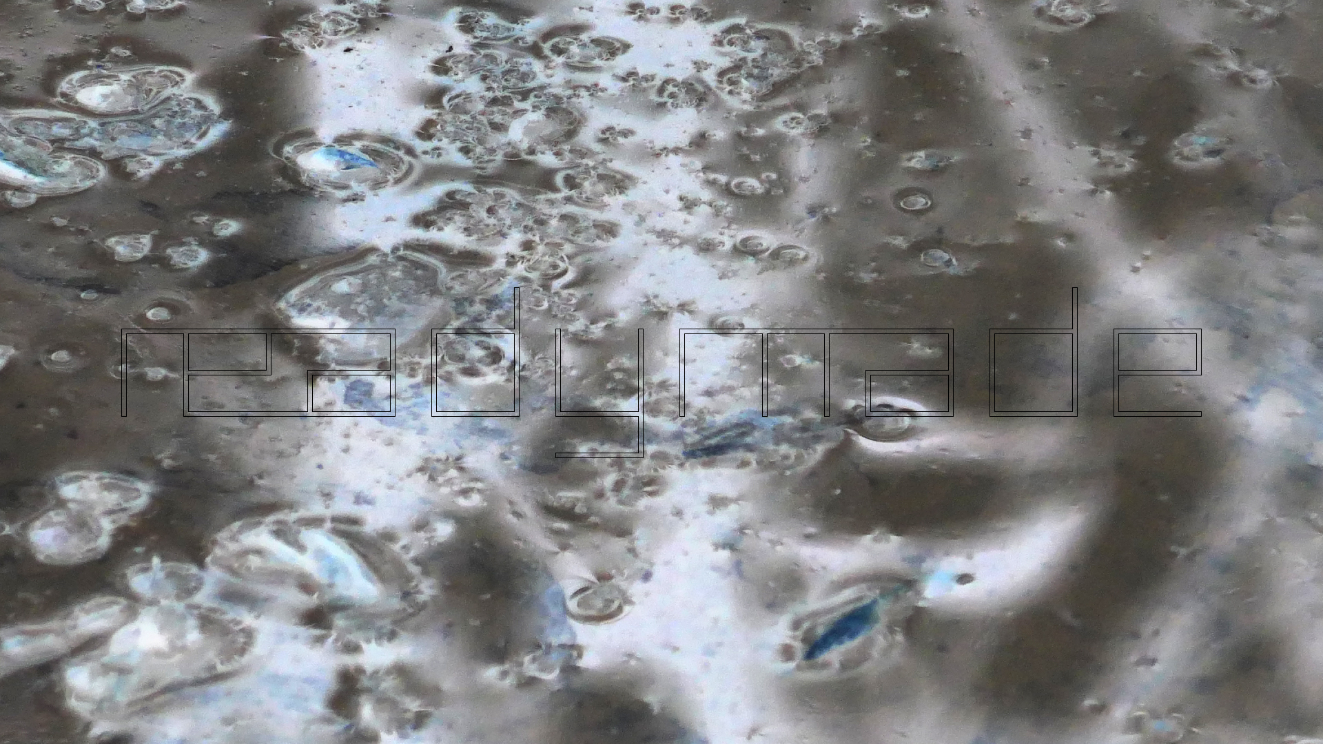 2022-02-17 Das Kleine Regen Rhythmus Orchester - Regen und Wind (Audio, Video)