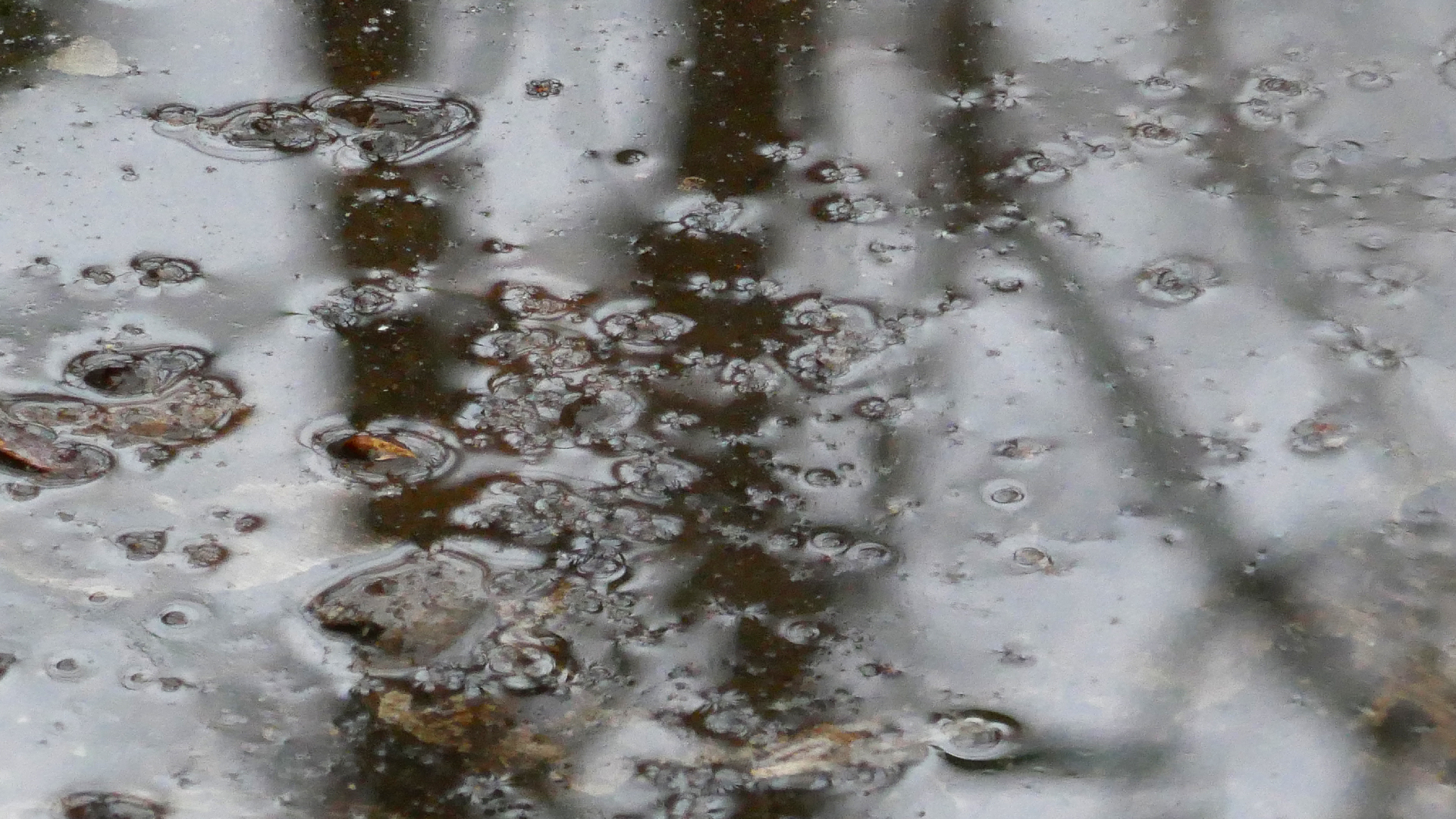 2022-02-17 Das Kleine Regen Rhythmus Orchester - Regen und Wind (Audio, Video)