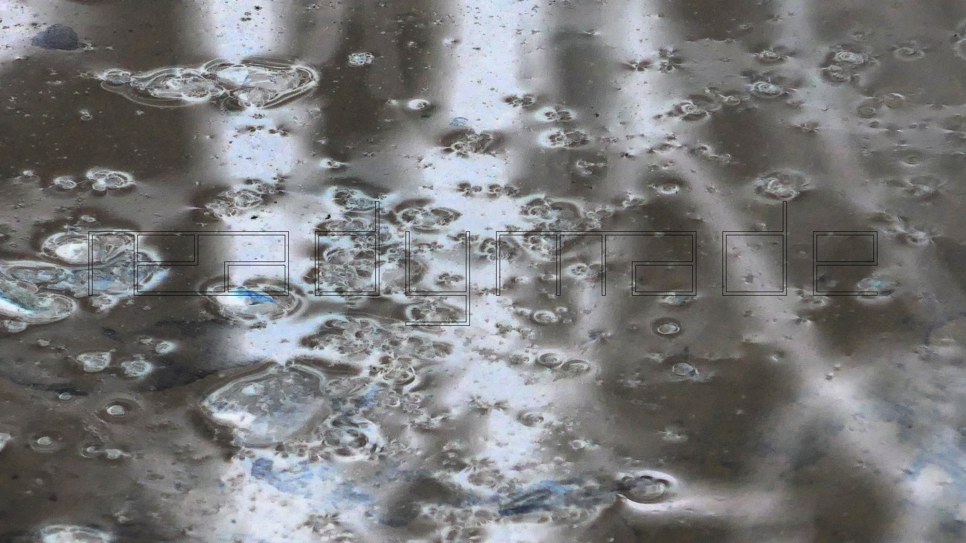 2022-02-17 Das Kleine Regen Rhythmus Orchester - Regen und Wind (Audio, Video)