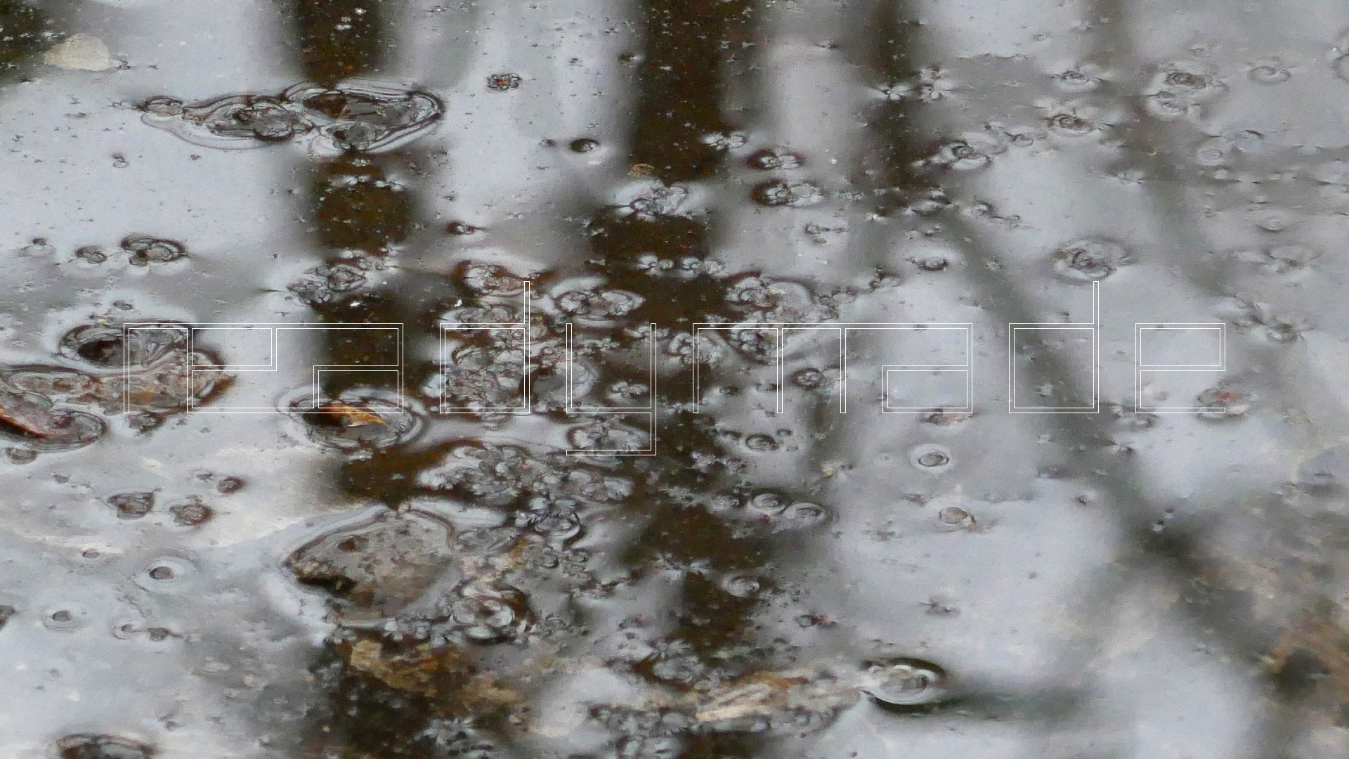 2022-02-17 Das Kleine Regen Rhythmus Orchester - Regen und Wind (Audio, Video)