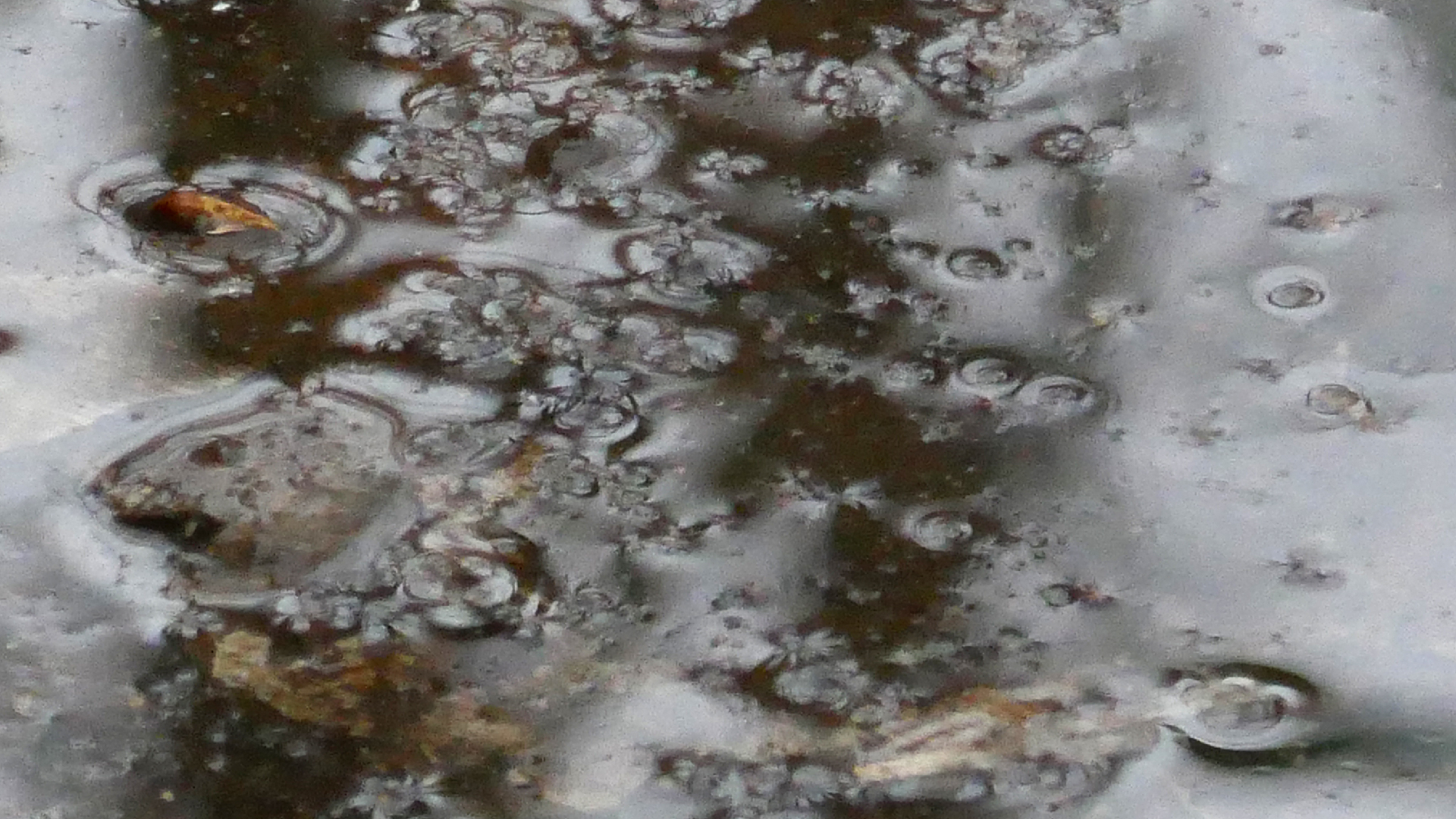 2022-02-17 Das Kleine Regen Rhythmus Orchester - Regen und Wind (Audio, Video)