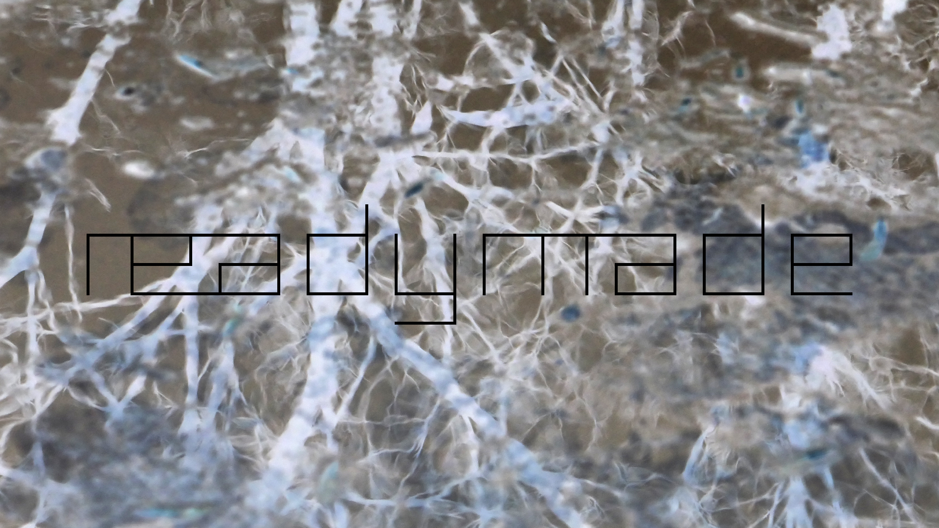 2022-02-17 Das Kleine Regen Rhythmus Orchester - Regen und Wind (Audio, Video)