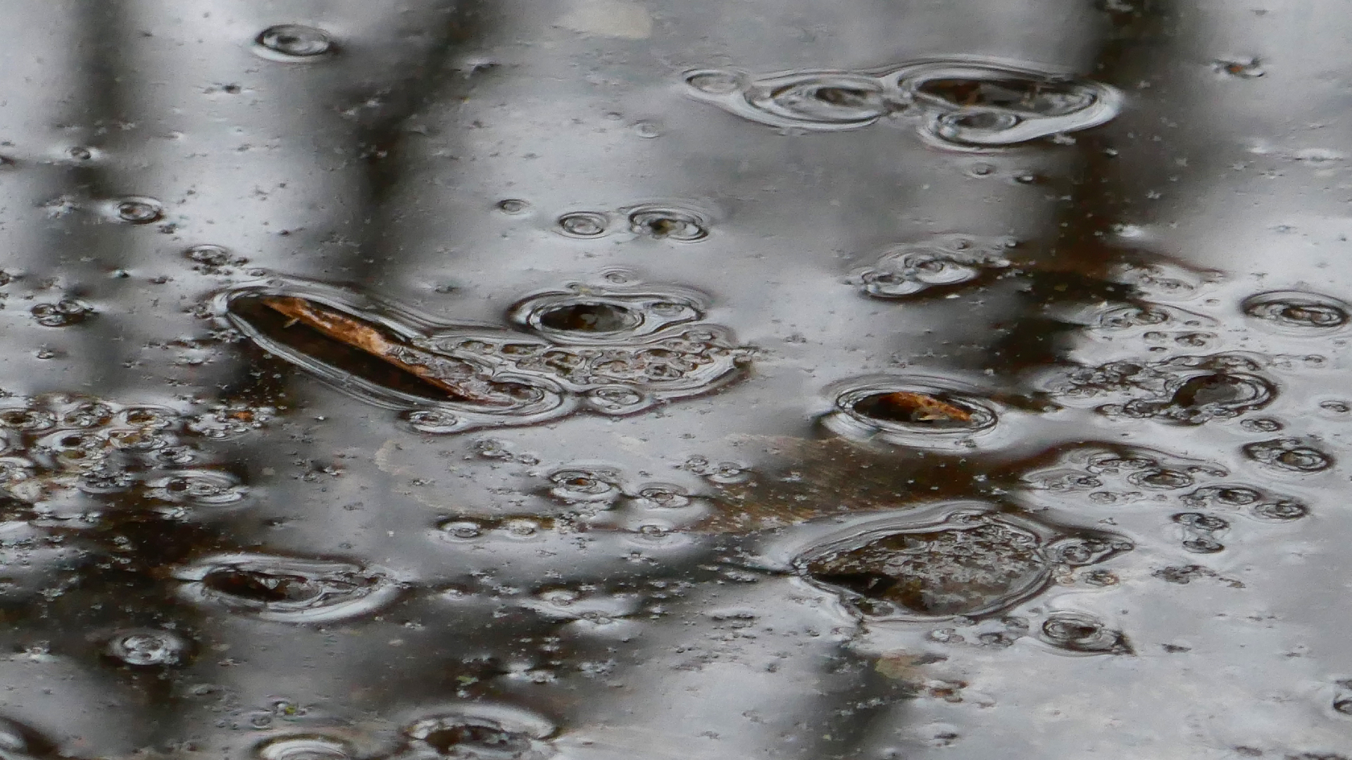 2022-02-17 Das Kleine Regen Rhythmus Orchester - Regen und Wind (Audio, Video)