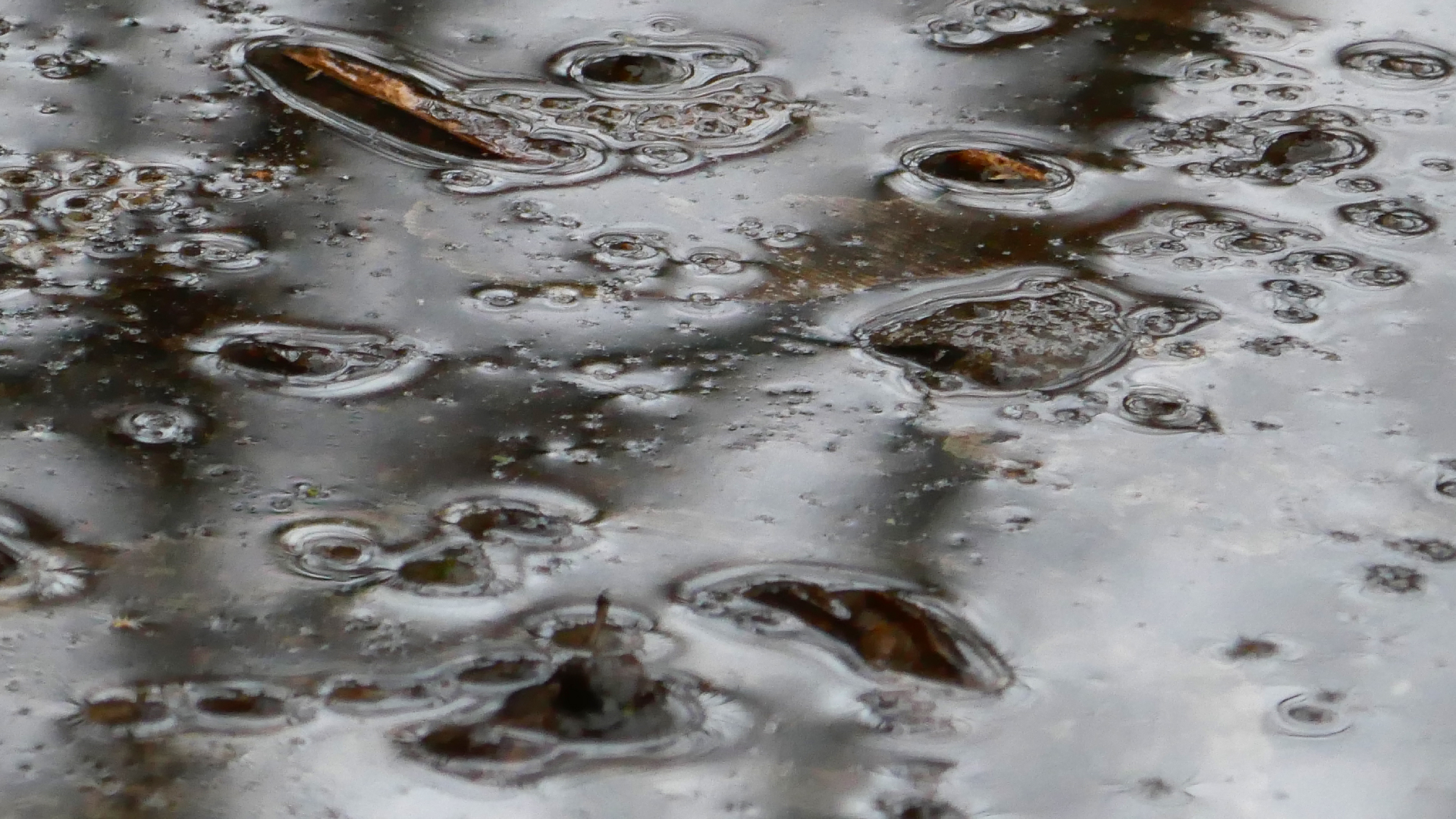 2022-02-17 Das Kleine Regen Rhythmus Orchester - Regen und Wind (Audio, Video)