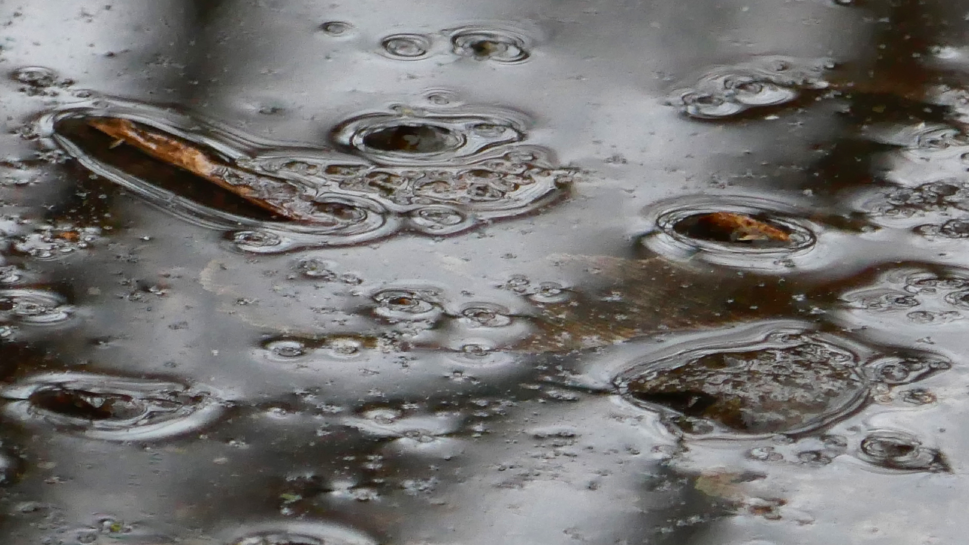 2022-02-17 Das Kleine Regen Rhythmus Orchester - Regen und Wind (Audio, Video)