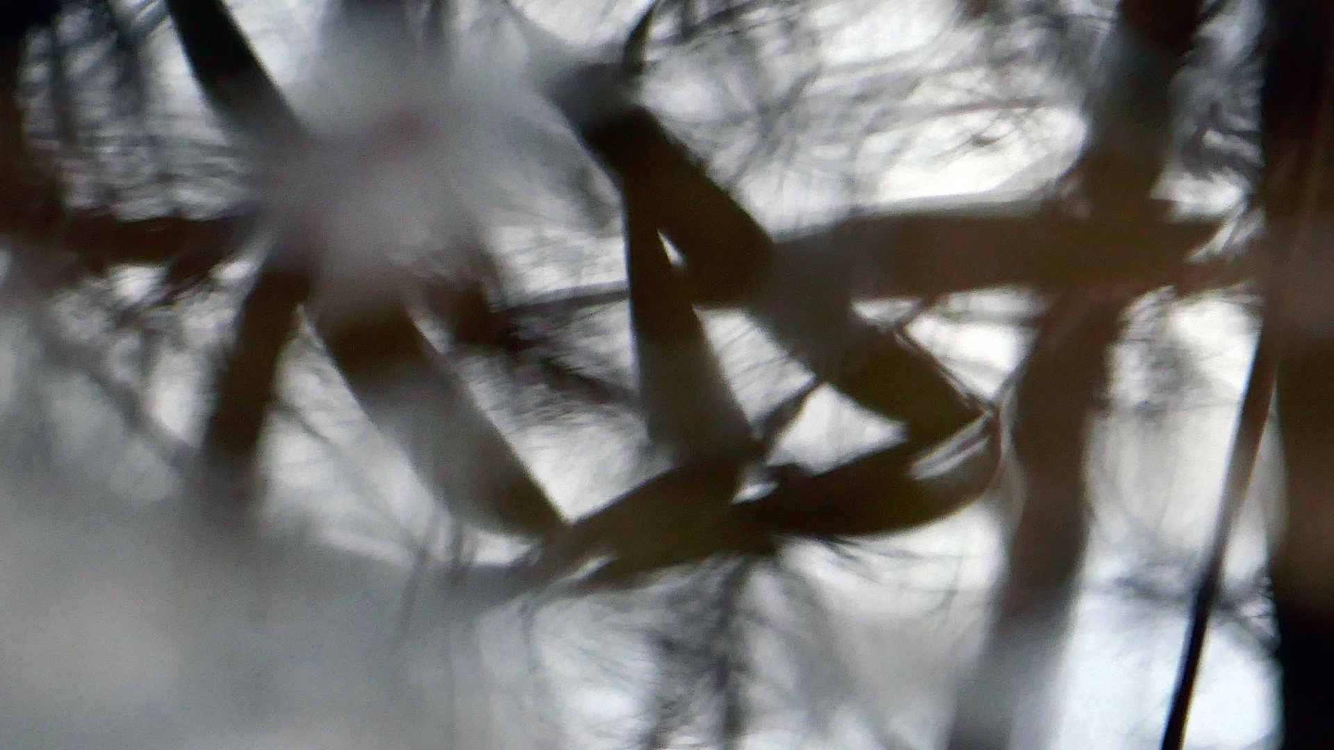 2022-02-17 Das Kleine Regen Rhythmus Orchester - Regen und Wind (Audio, Video)