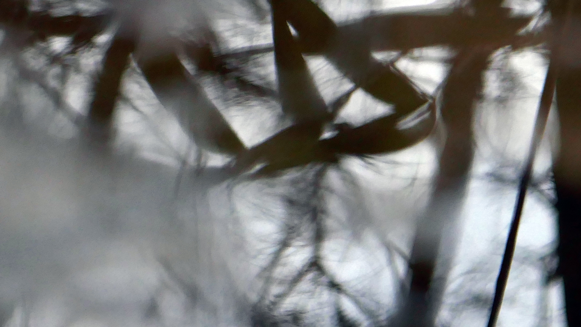 2022-02-17 Das Kleine Regen Rhythmus Orchester - Regen und Wind (Audio, Video)